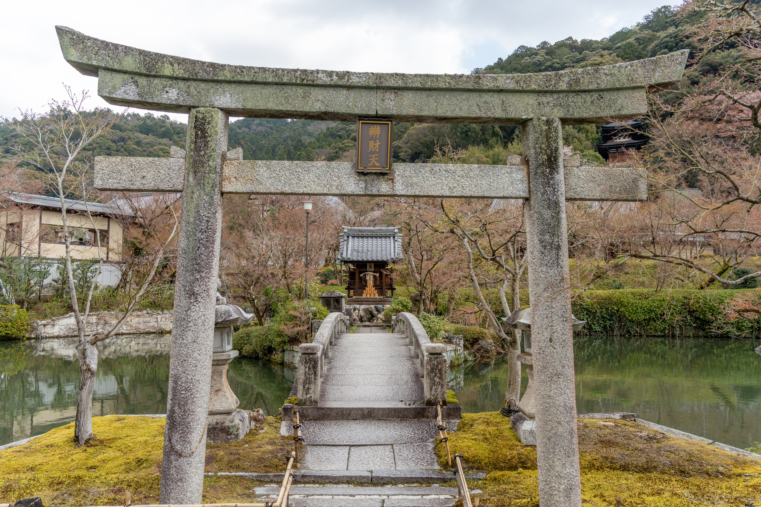 Япония, сакура. Творческие сьемки