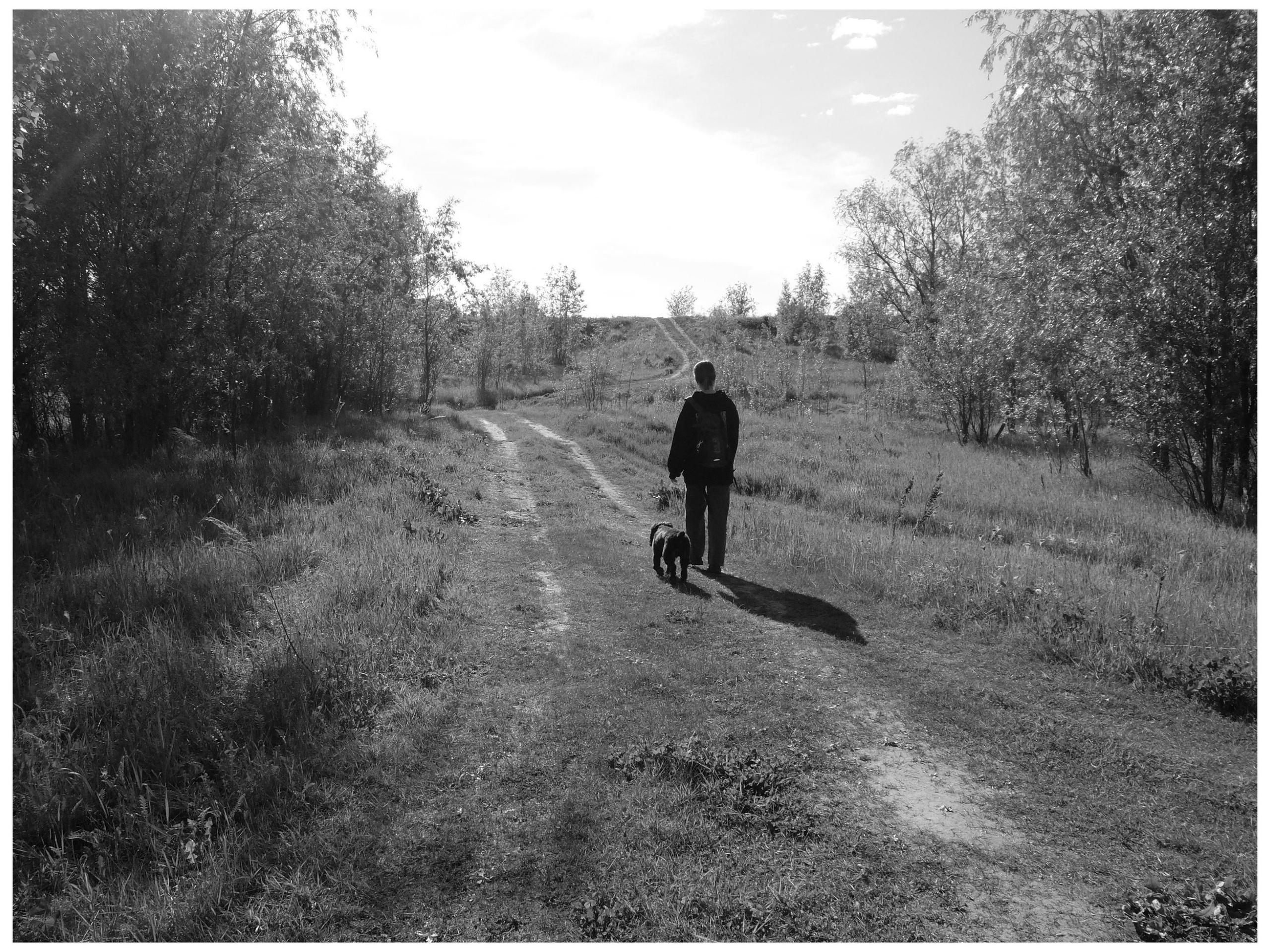 Промежуточные моменты (2022)