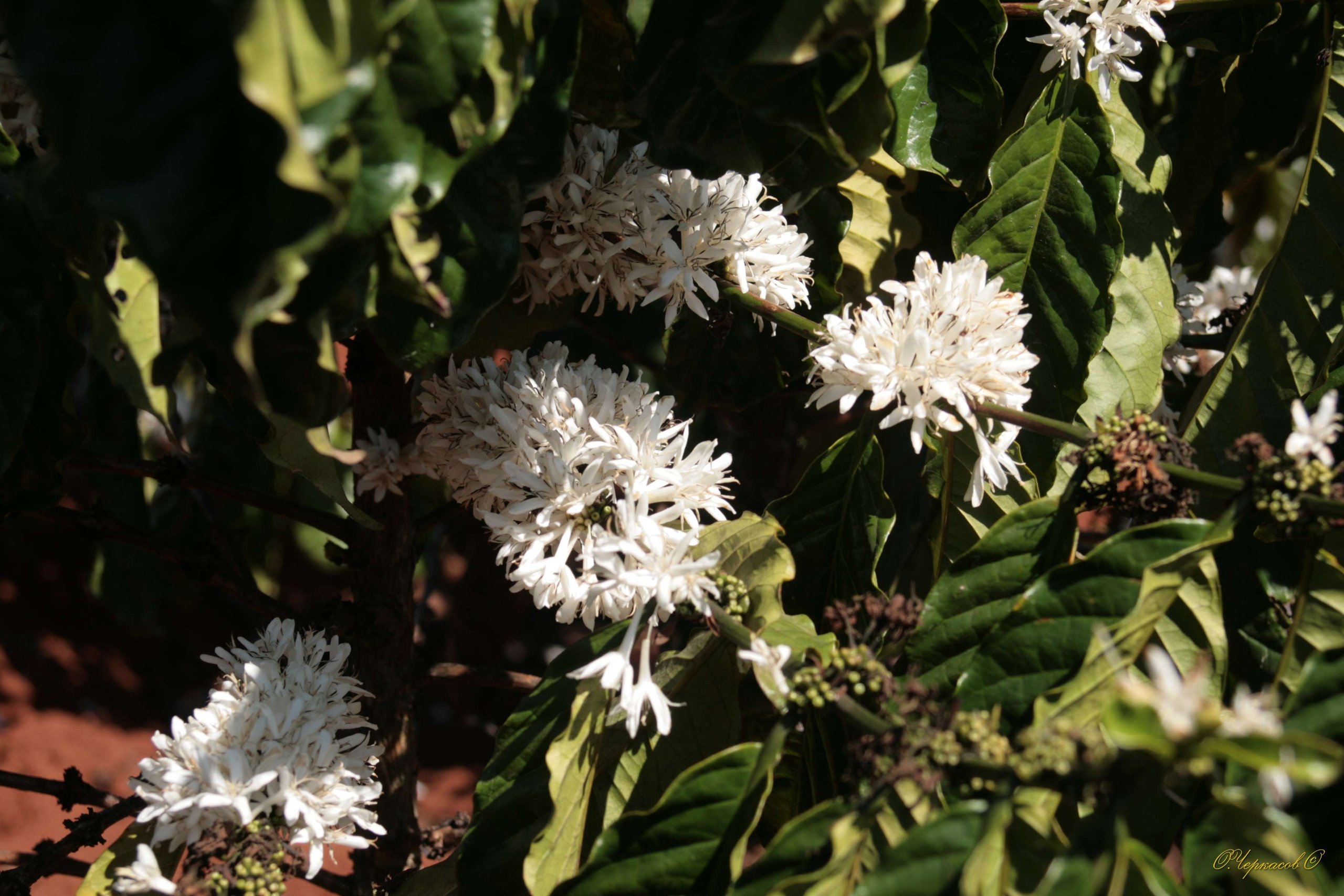 Вьетнам 2008 г. Улица, люди, жизнь…