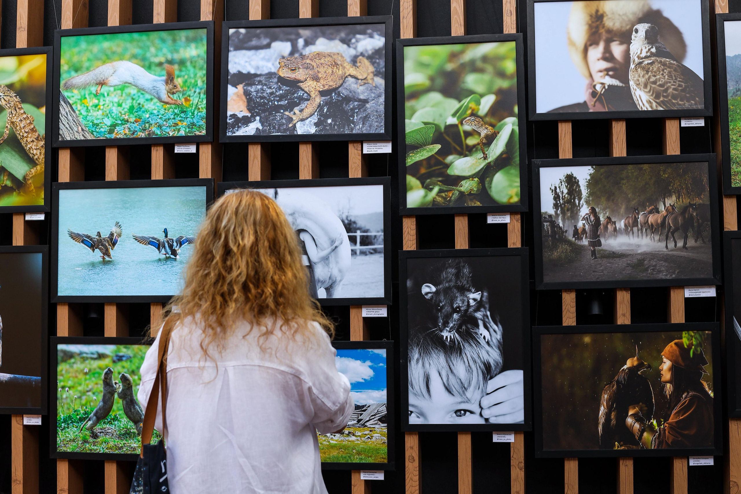 Выставки. Семейный и детский фотограф в Алматы Юровских Инесса