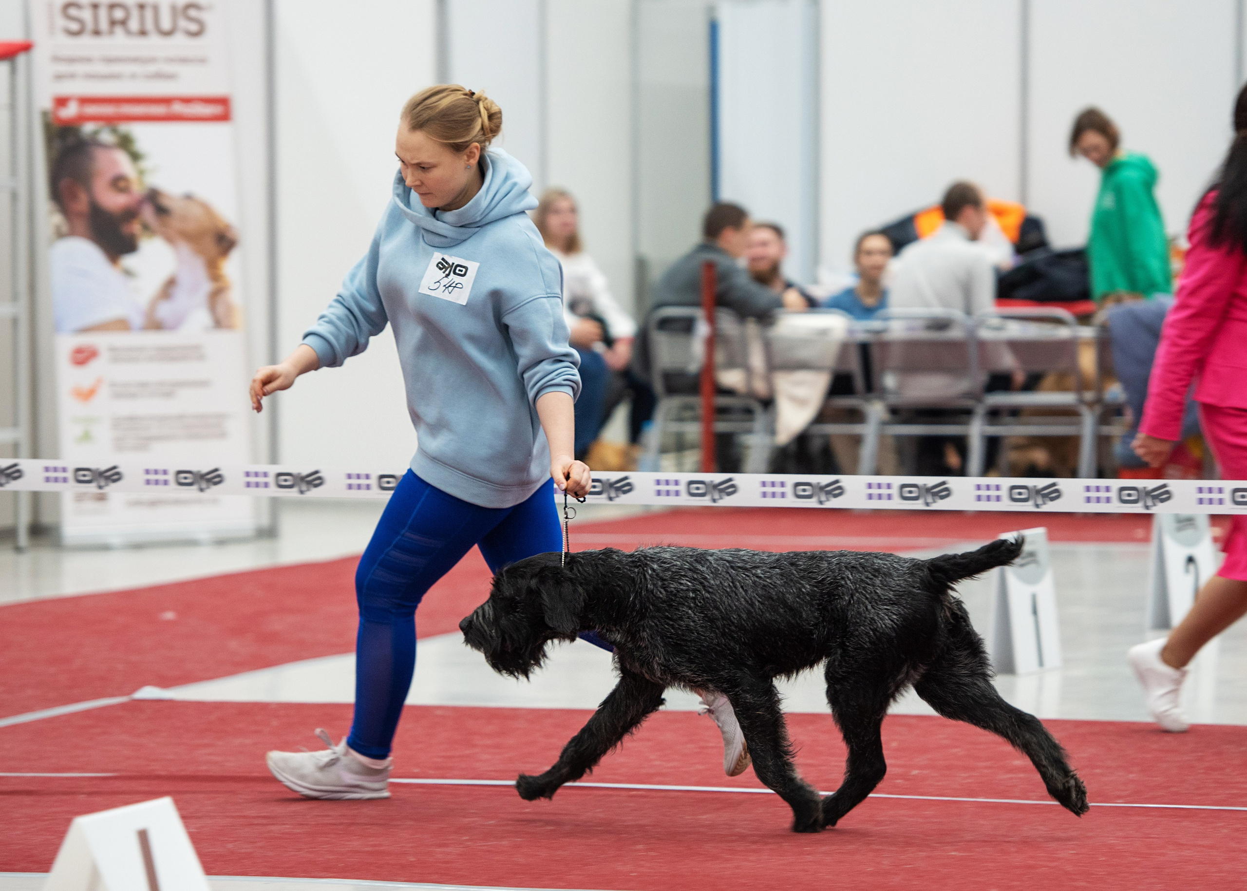 Выставки. Главная