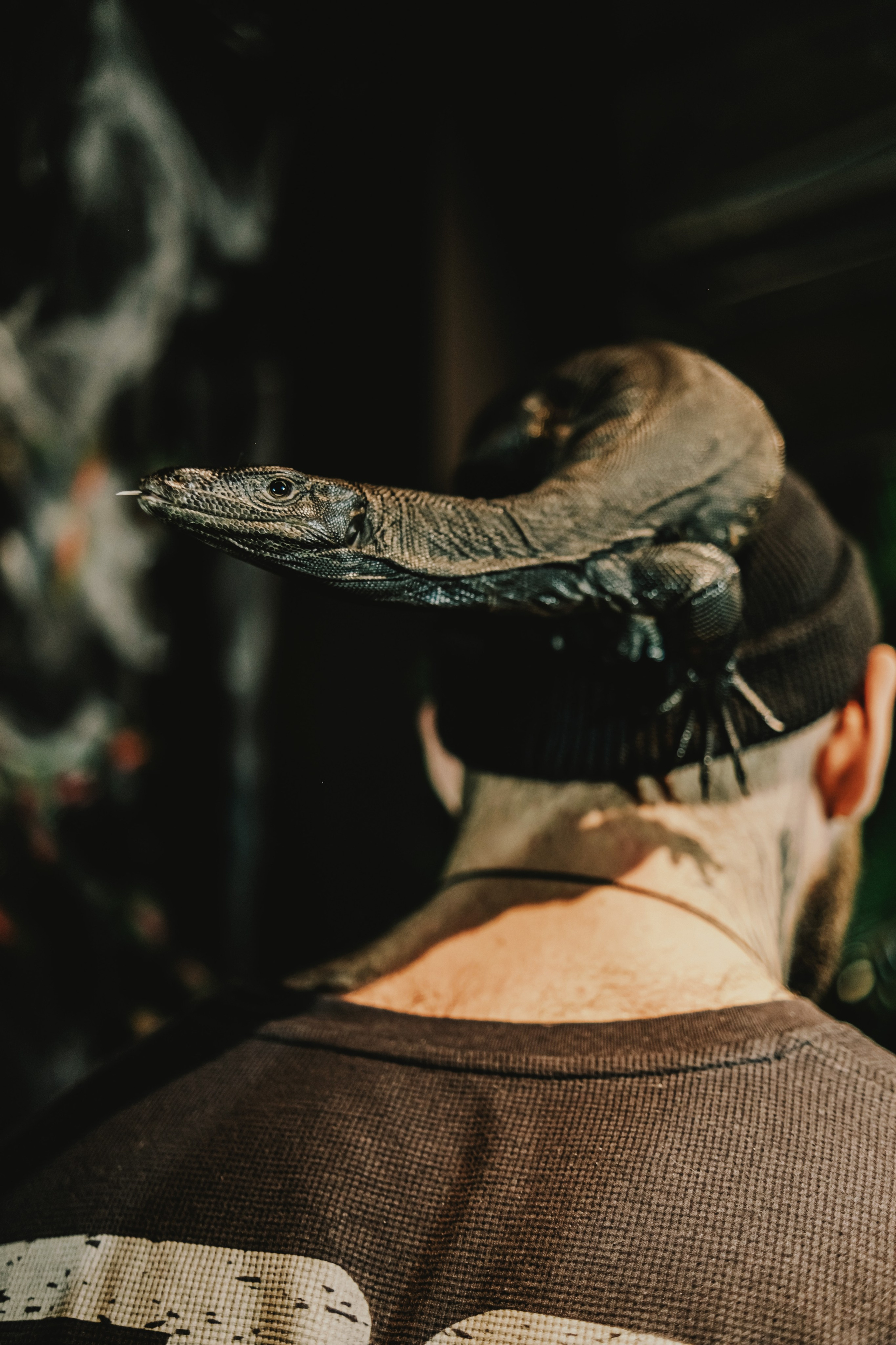 Дом Драконов. Nattie.ph