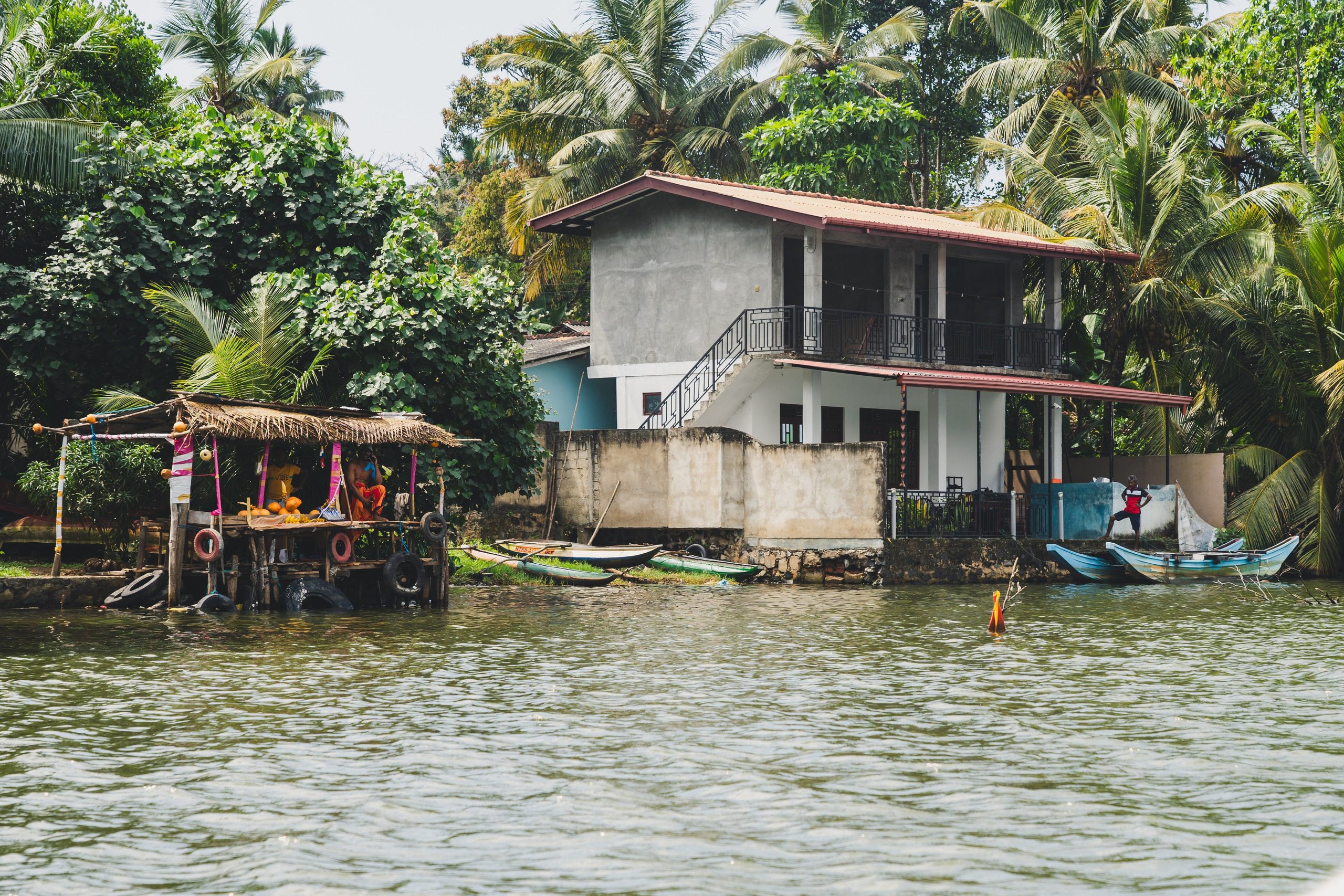 Шри-Ланка 2025. Легкая фотография