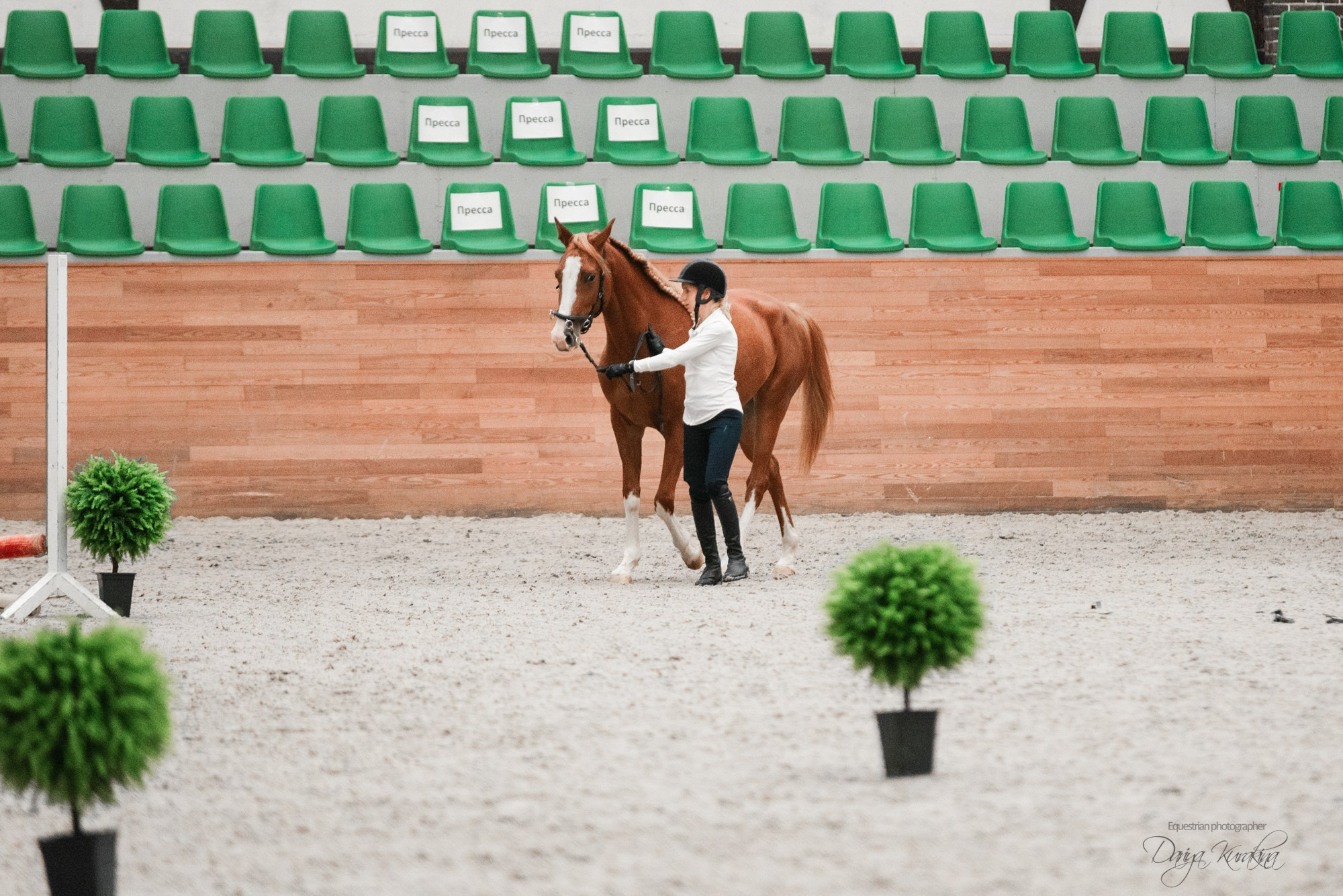 8-я международная выставка Конная Россия. Конный фотограф Куракина Дарья • Фотосессии с лошадьми