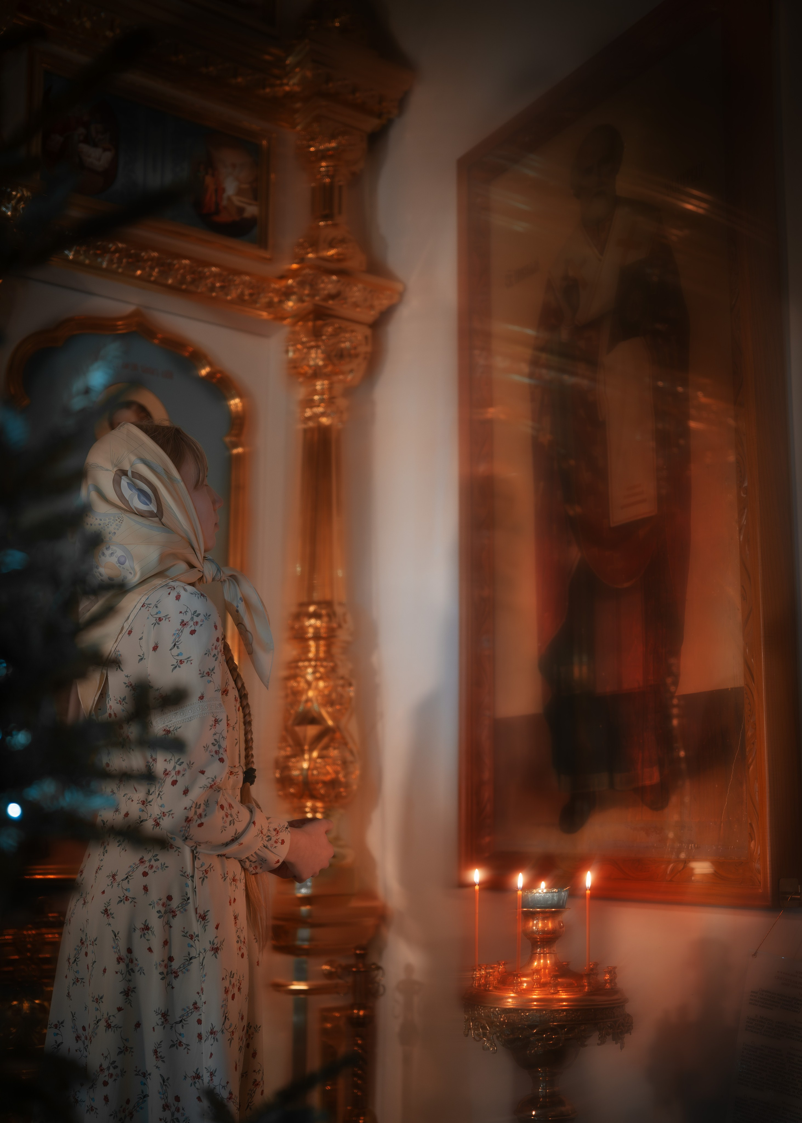 ПОЛИНА. Shamirov Arkadiy