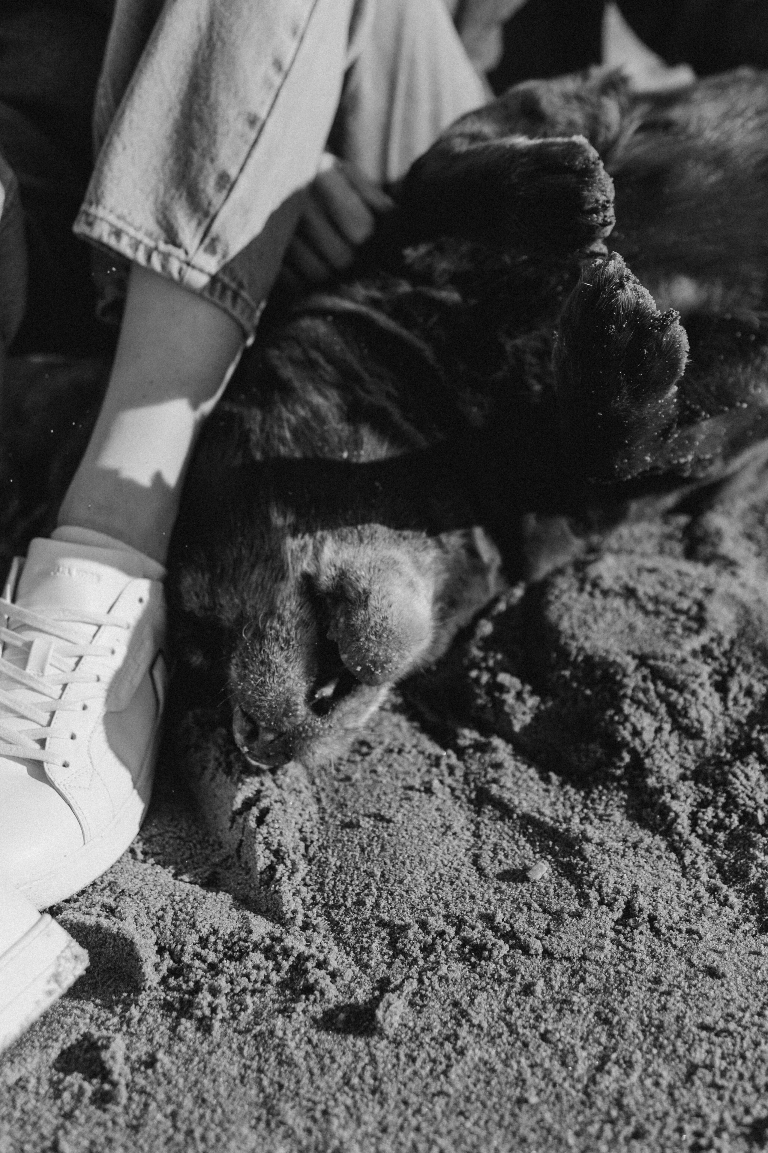 Оля и Питоня. Фотограф — Анималист | Санкт-Петербург