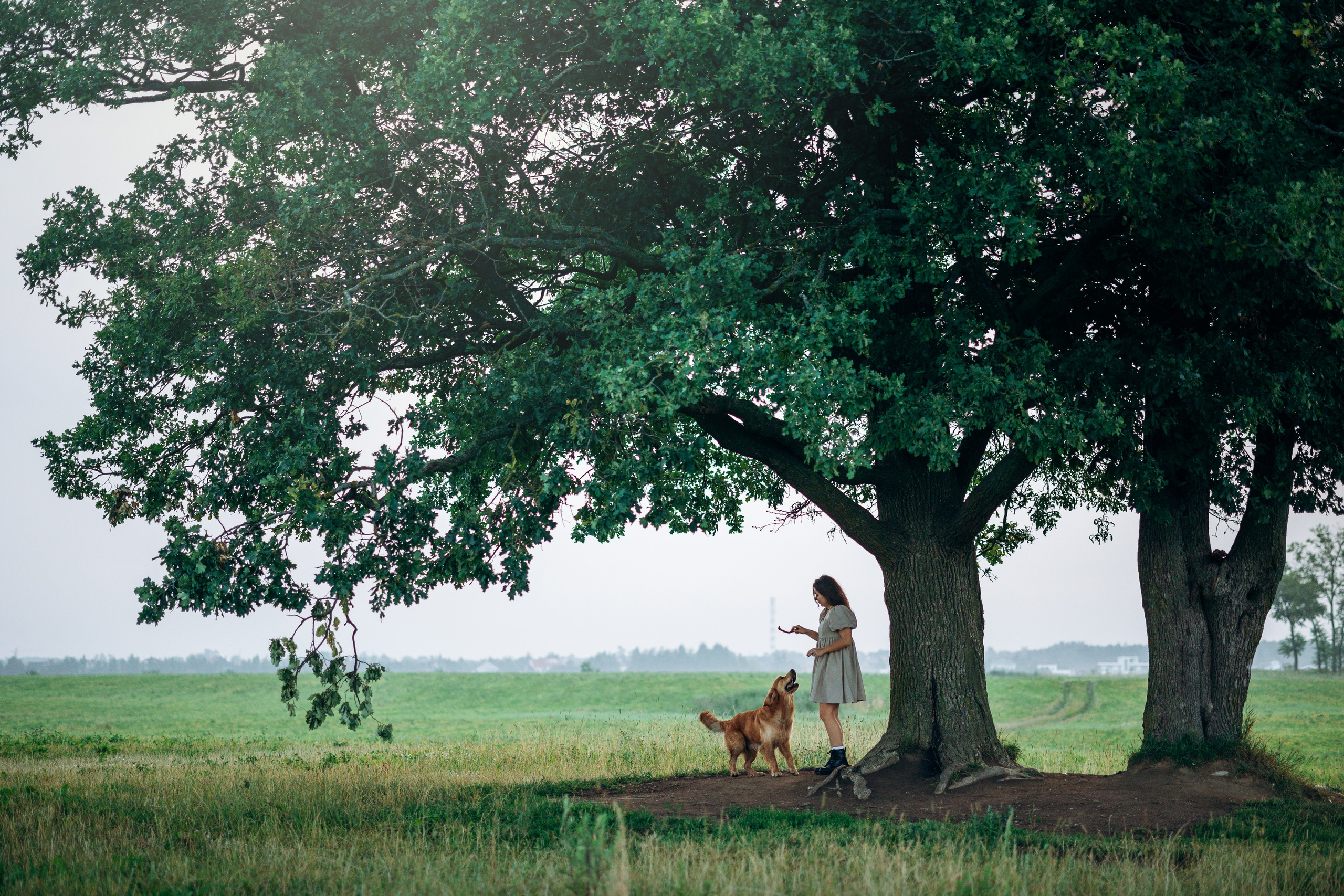 Аня и Ноллан. Фотограф — Анималист | Санкт-Петербург