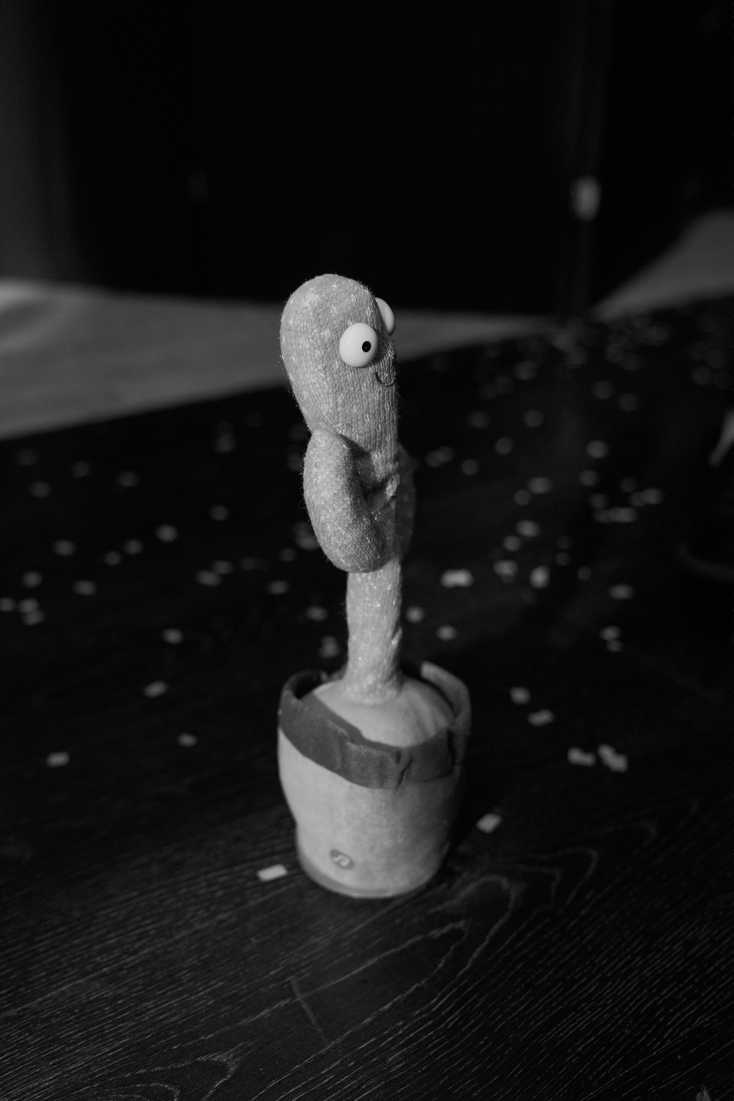 Вечеринка фотографов. Чумаков Алексей Фотограф|Видеограф свадебные, индивидуальные, семейные, репортаж