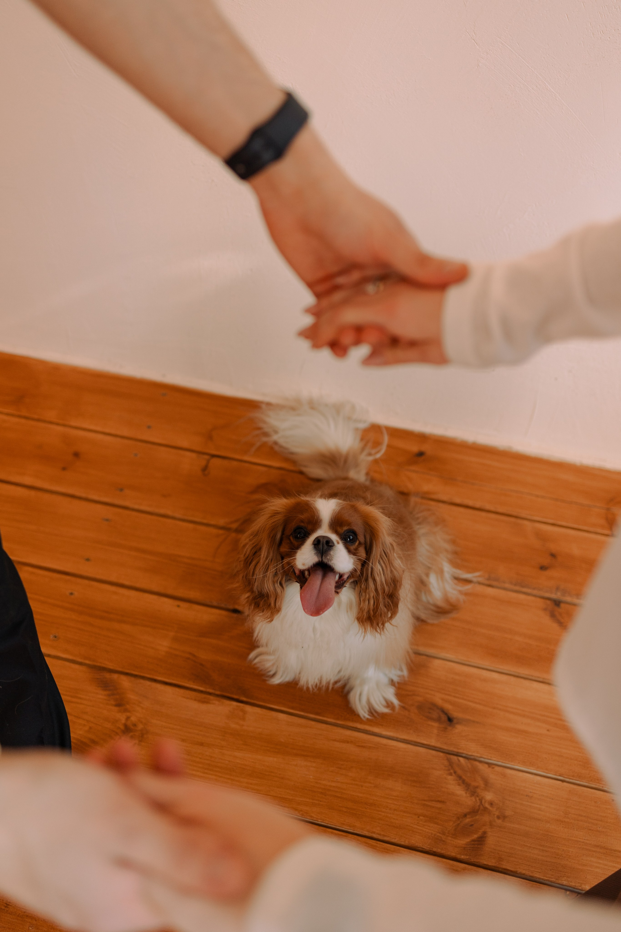 Шерри и ее семья. Фотограф — Анималист | Санкт-Петербург