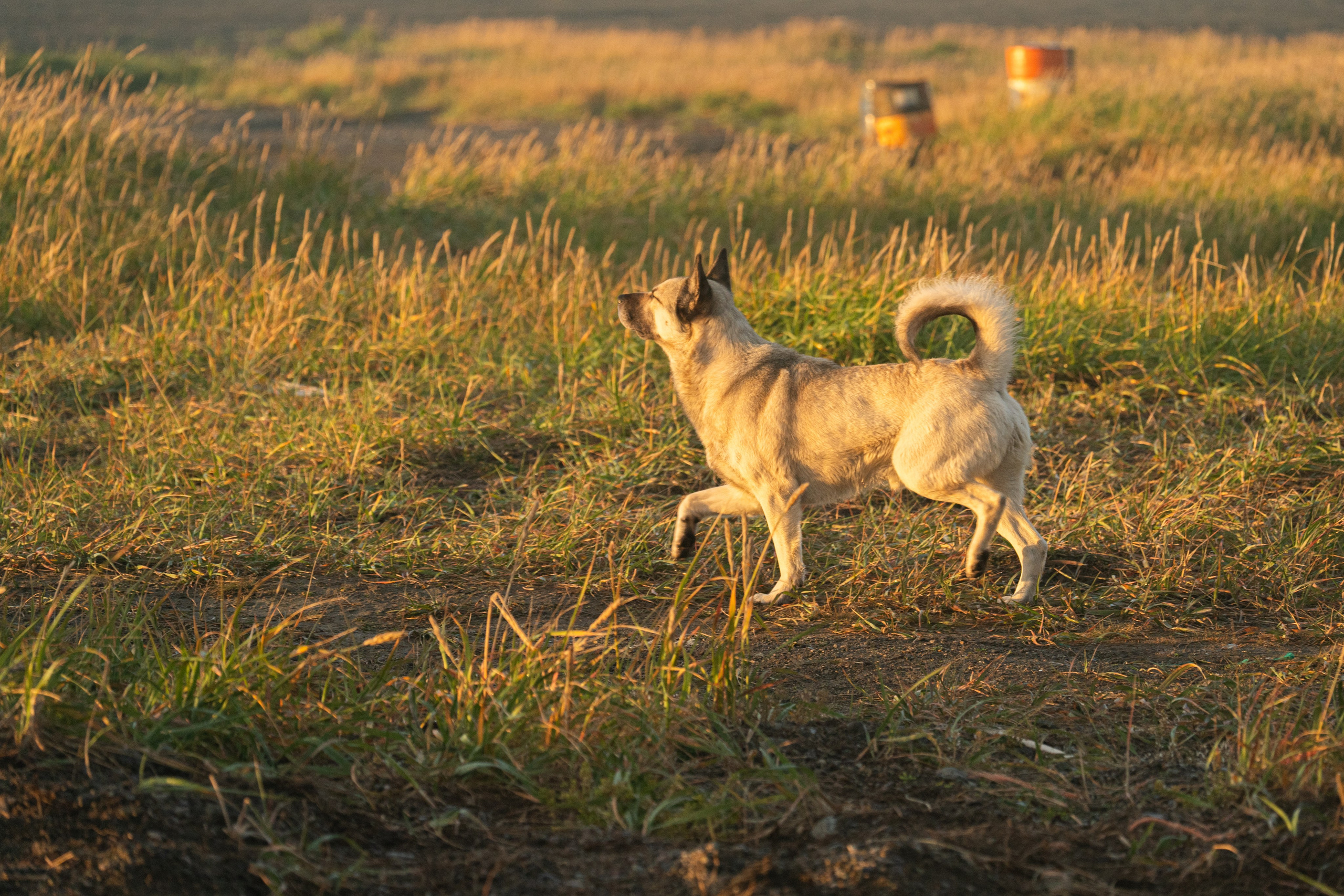 Чукотка. Gusarov Travel Photography