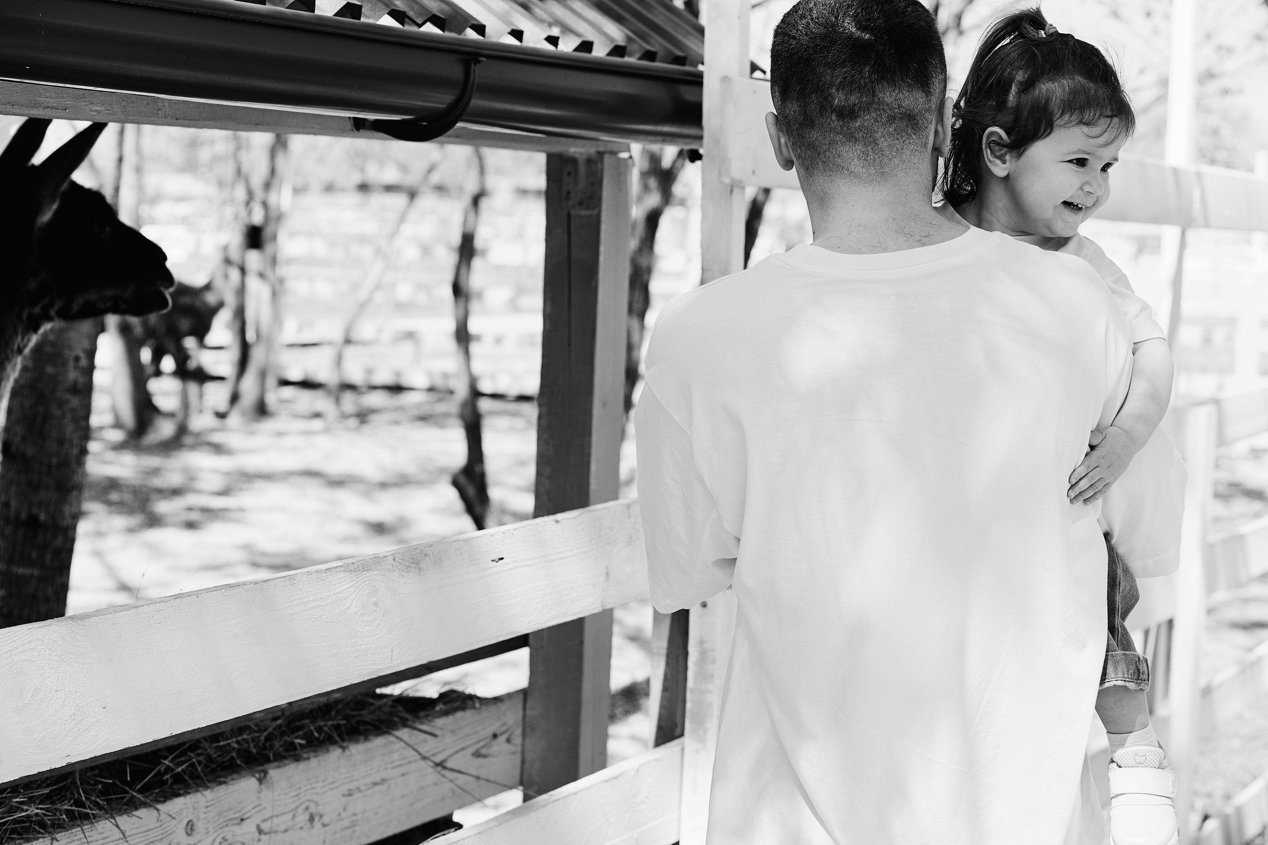 PRIVATE Weekend на Ферме Альпак 19.04. Свадебный репортажный фотограф краснодар максим дремов дрёмов фотосессия студия цена