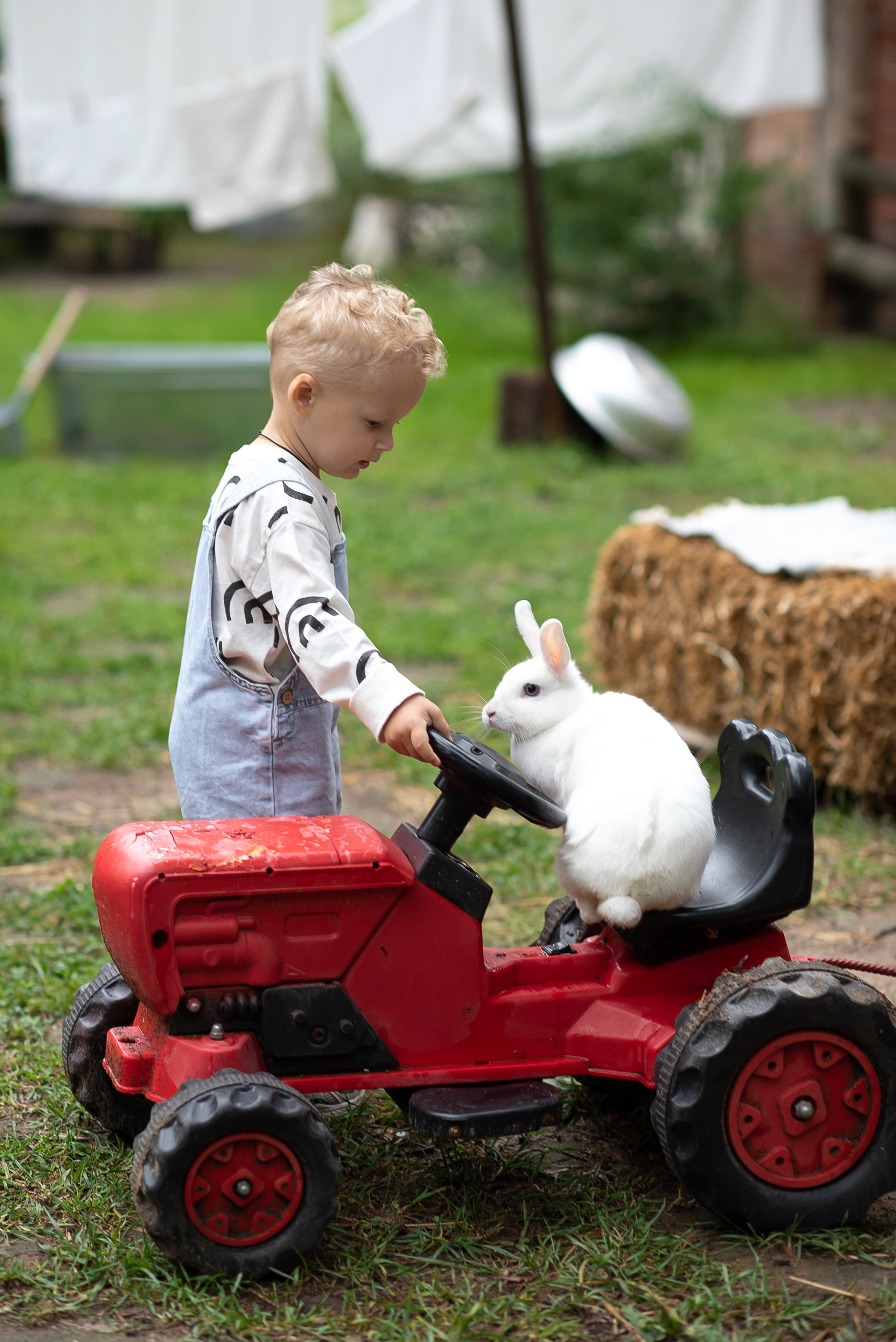 Фотостудия Лес Чудес. Фотограф Мария Усманова, Казань