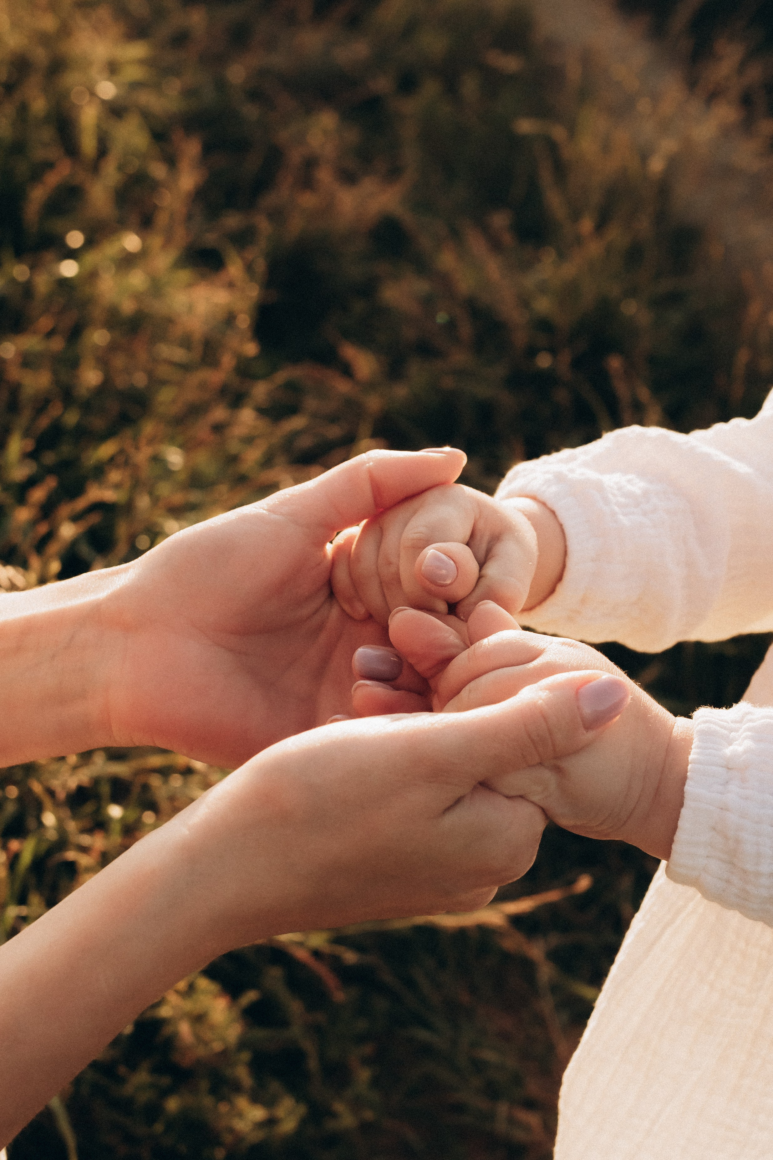 Семейная история на закате. ФОТОГРАФ | Сыктывкар