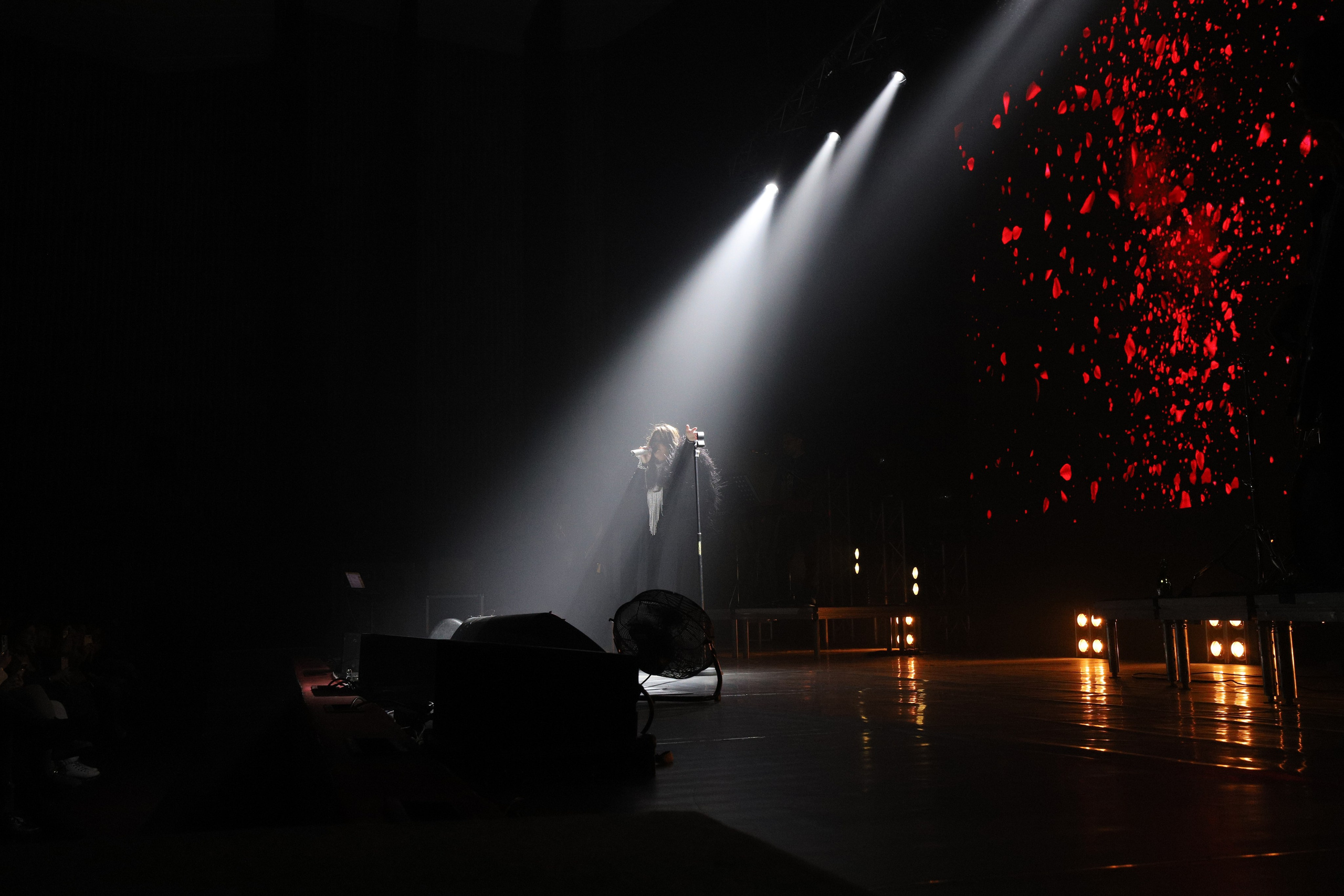 Ирина Дубцова. Фотограф в Новосибирске Александр Иванов