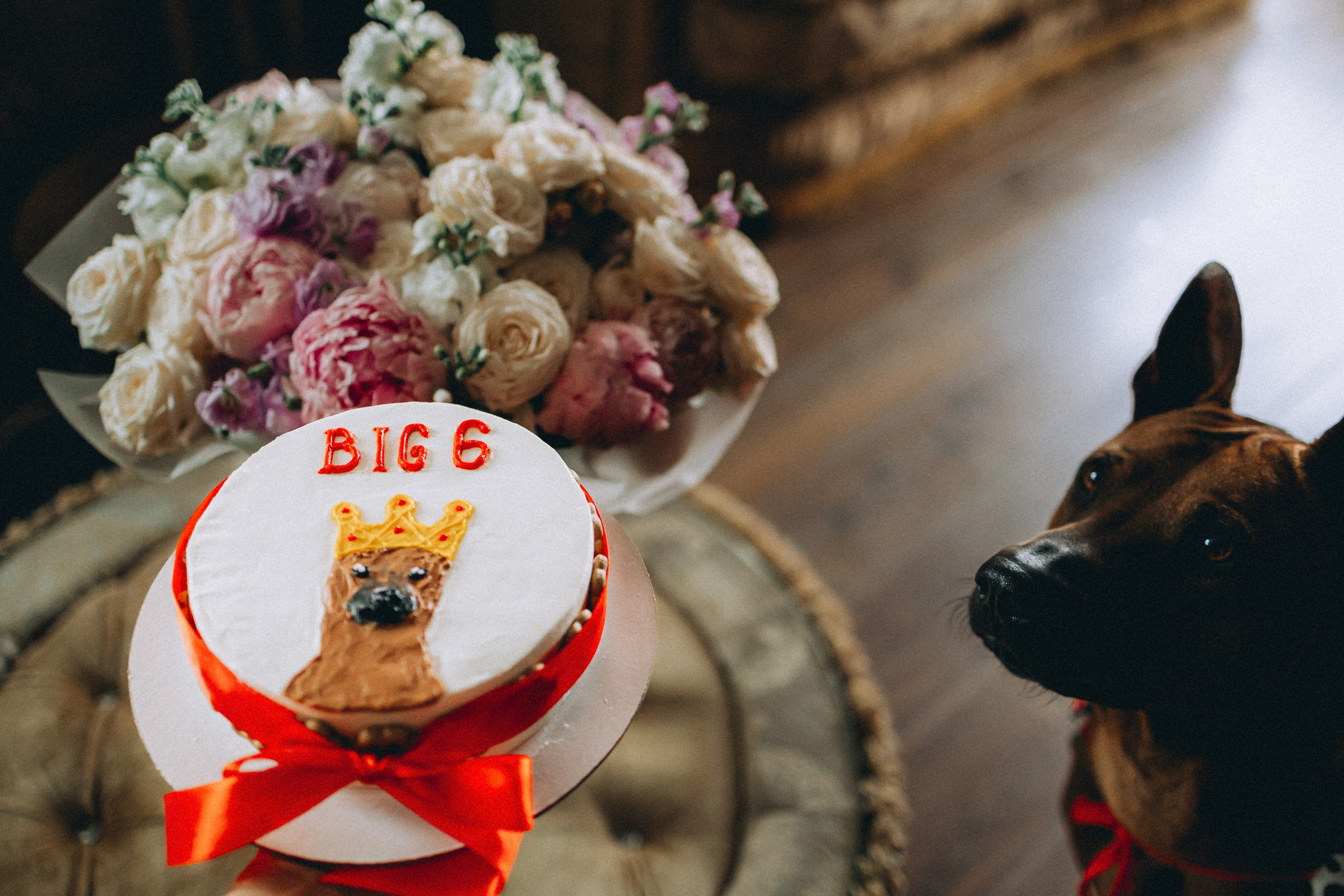 Оксана и Зевс