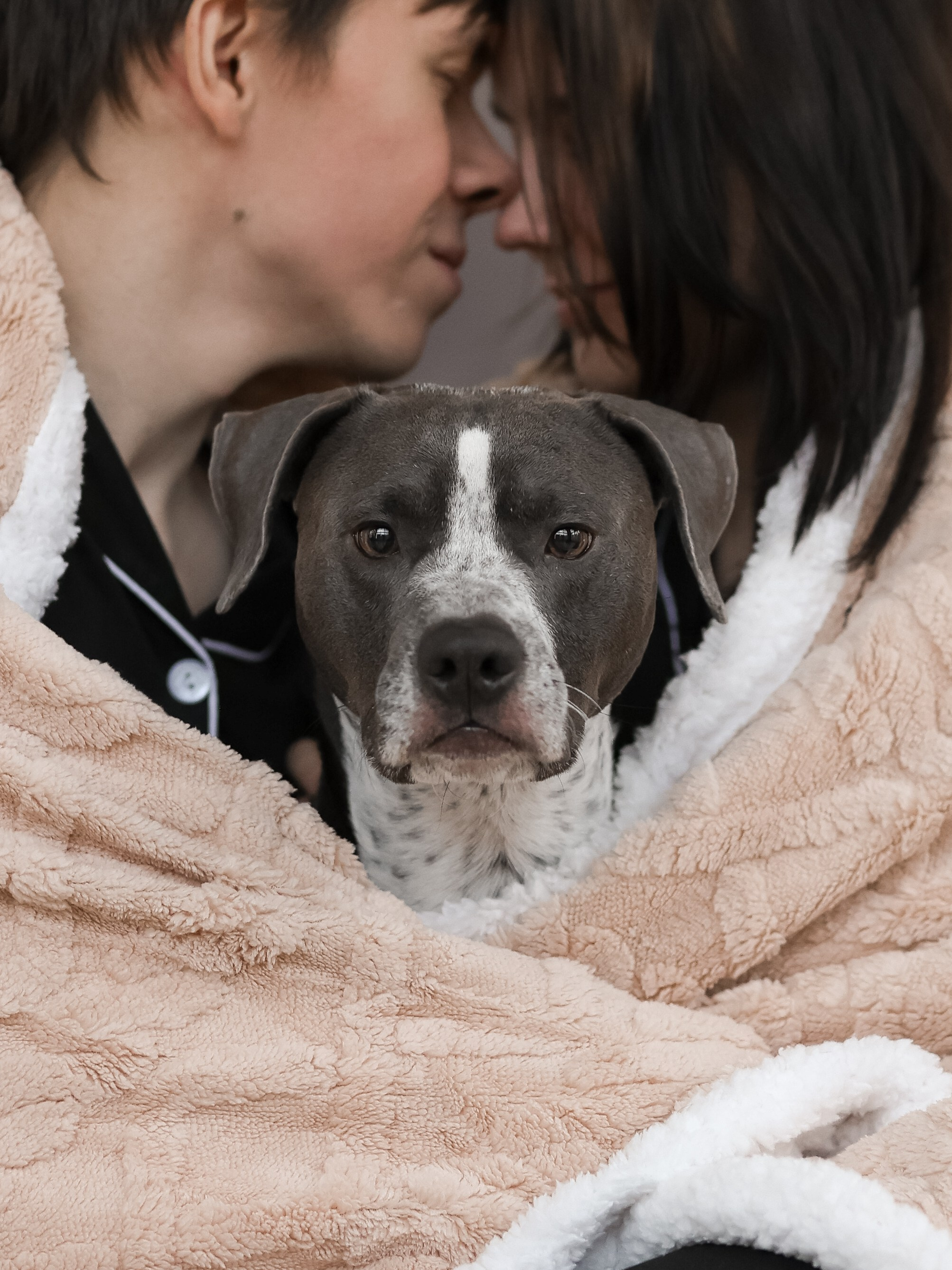 Тортик Даша и Никита. Фотограф-анималист в Москве Кириллова Татьяна