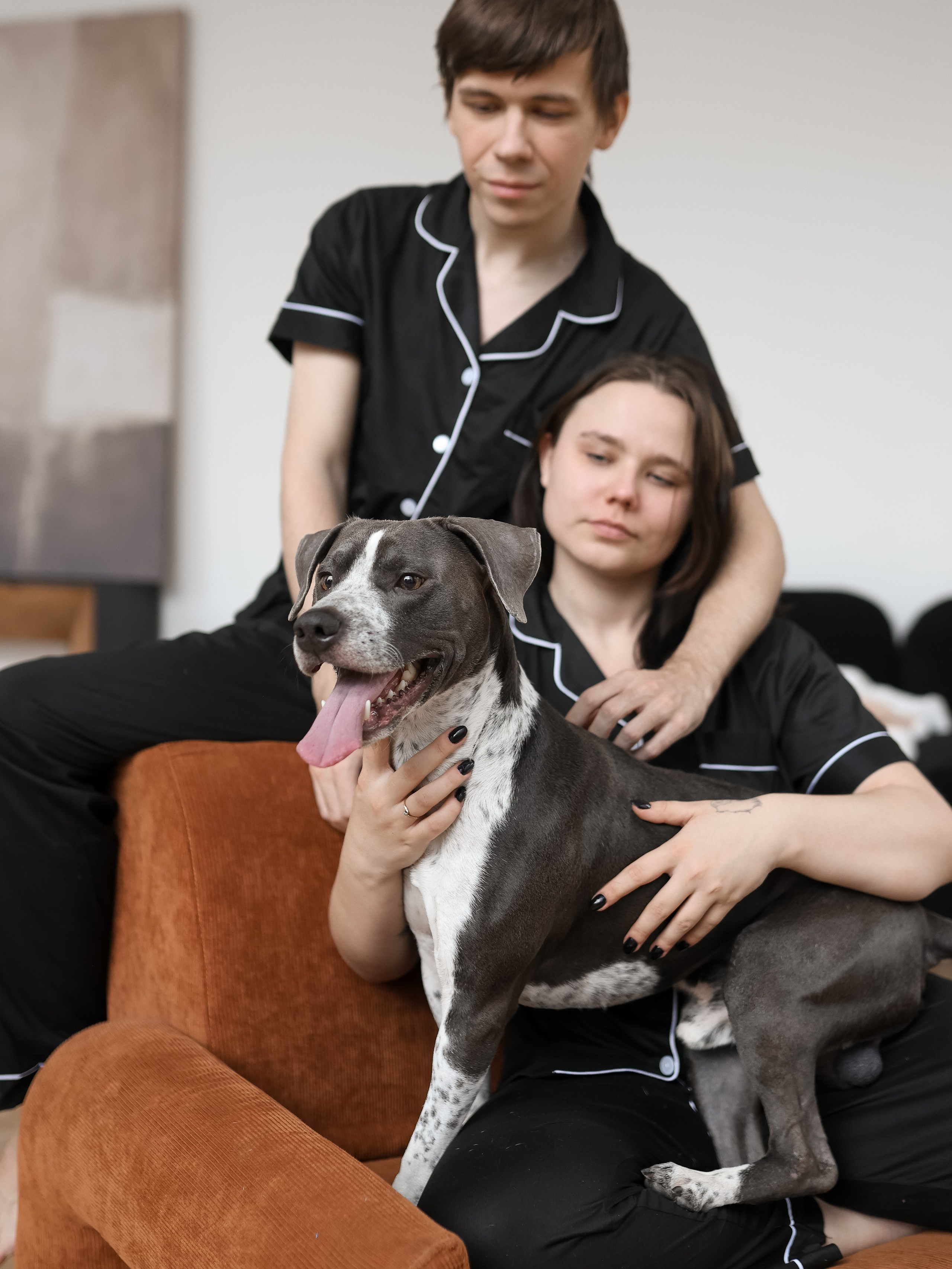 Тортик Даша и Никита. Фотограф-анималист в Москве Кириллова Татьяна