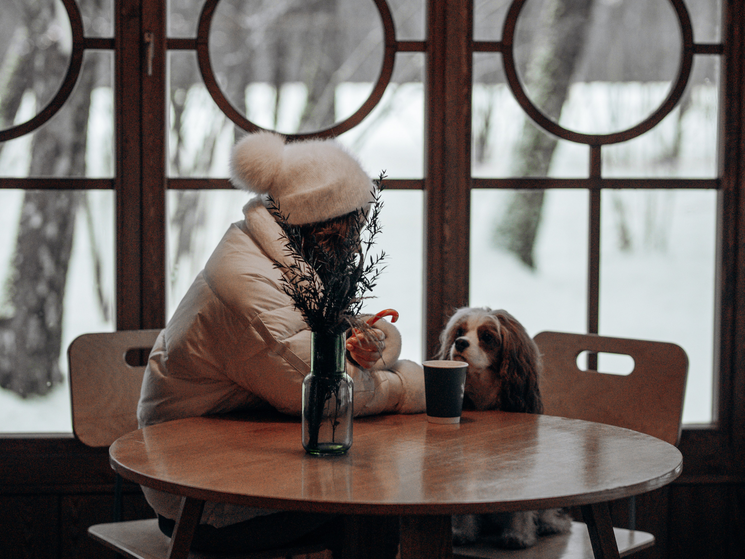 Дарси и Маша. Фотограф-анималист в Москве Кириллова Татьяна
