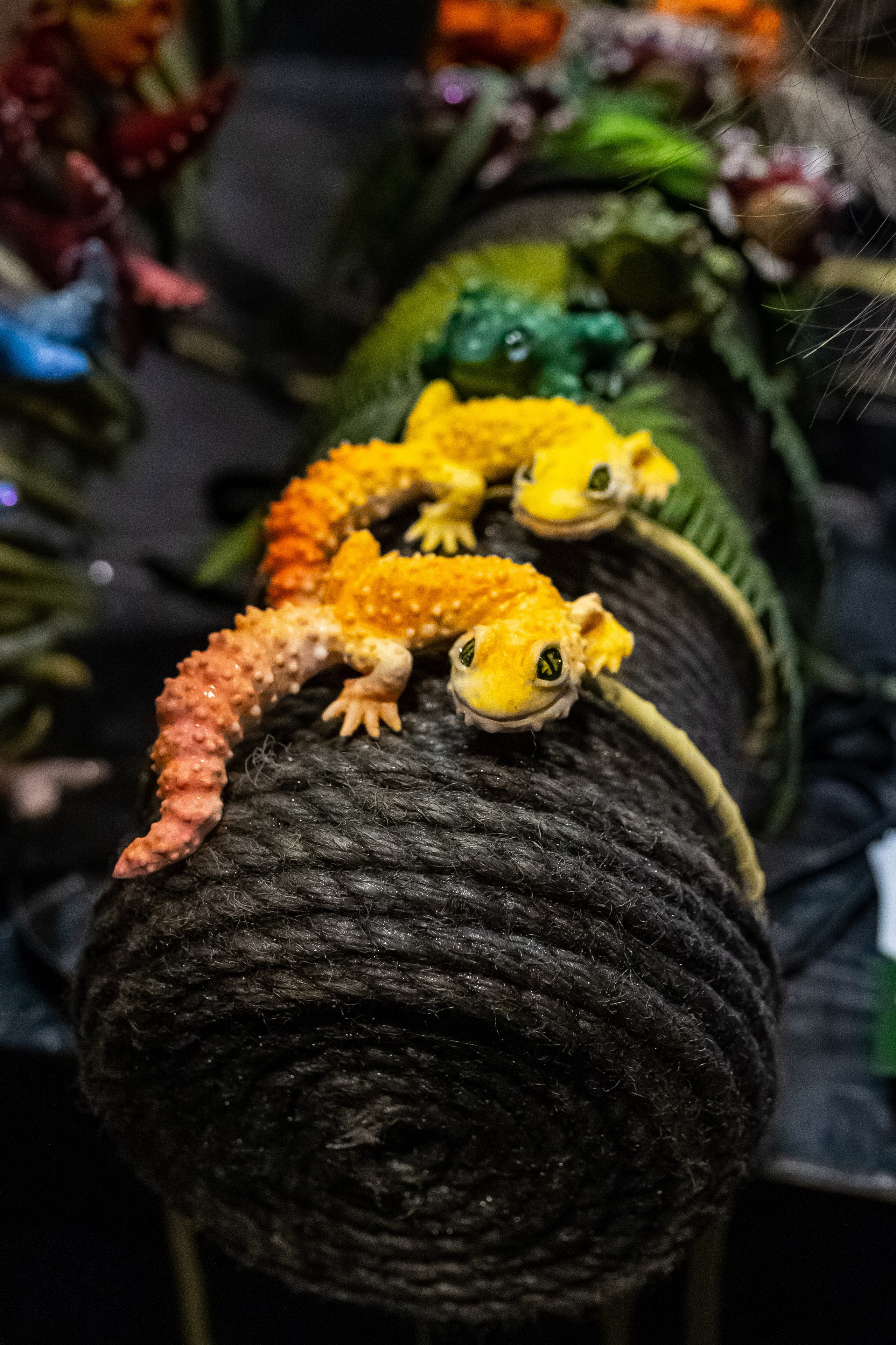 Рептилиум 2024. Александра Куликова фотограф, Москва