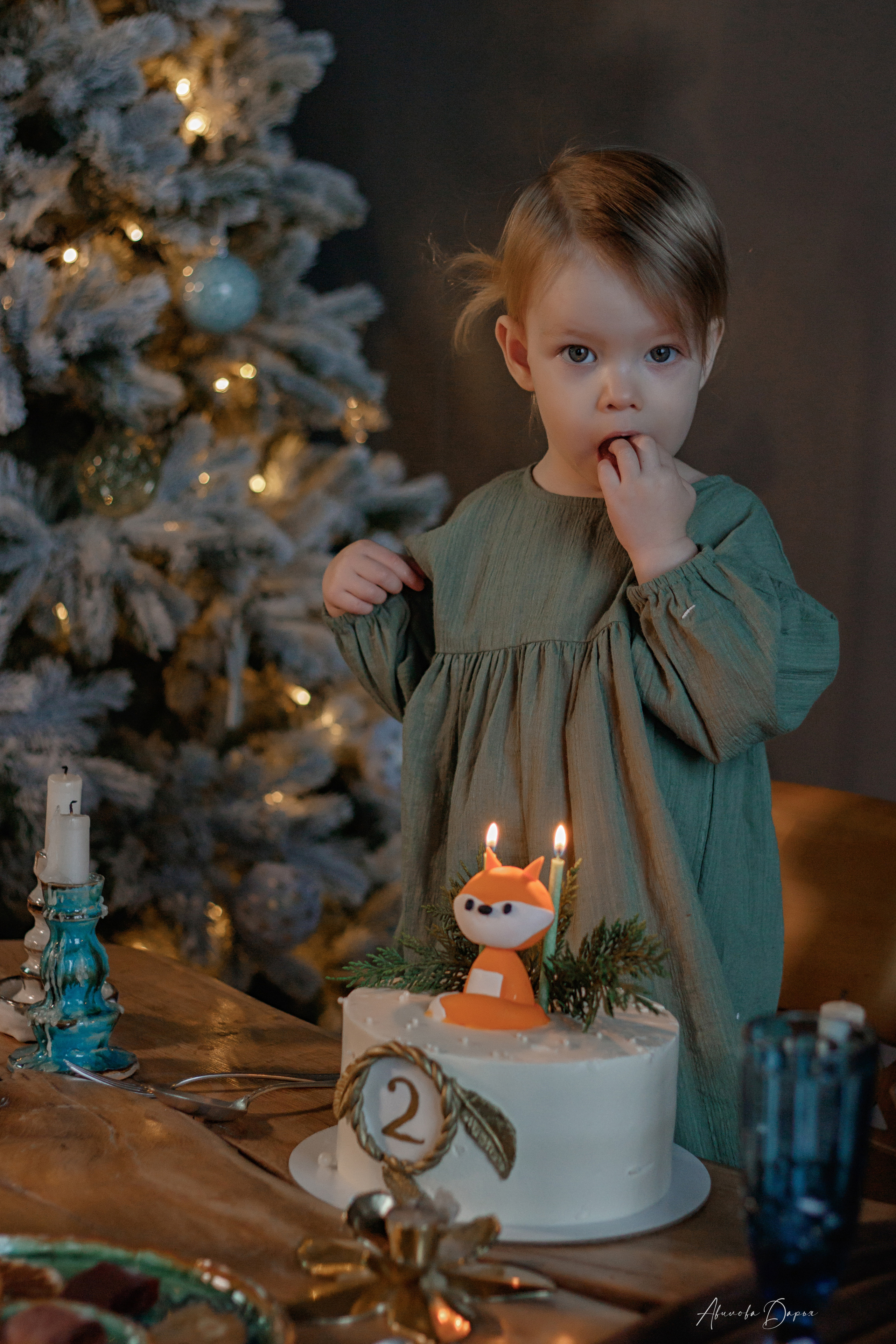 Алисе 2 года. Фотограф Авилова Дарья ● Тюмень● Съемка больших семей ●Архив поколений