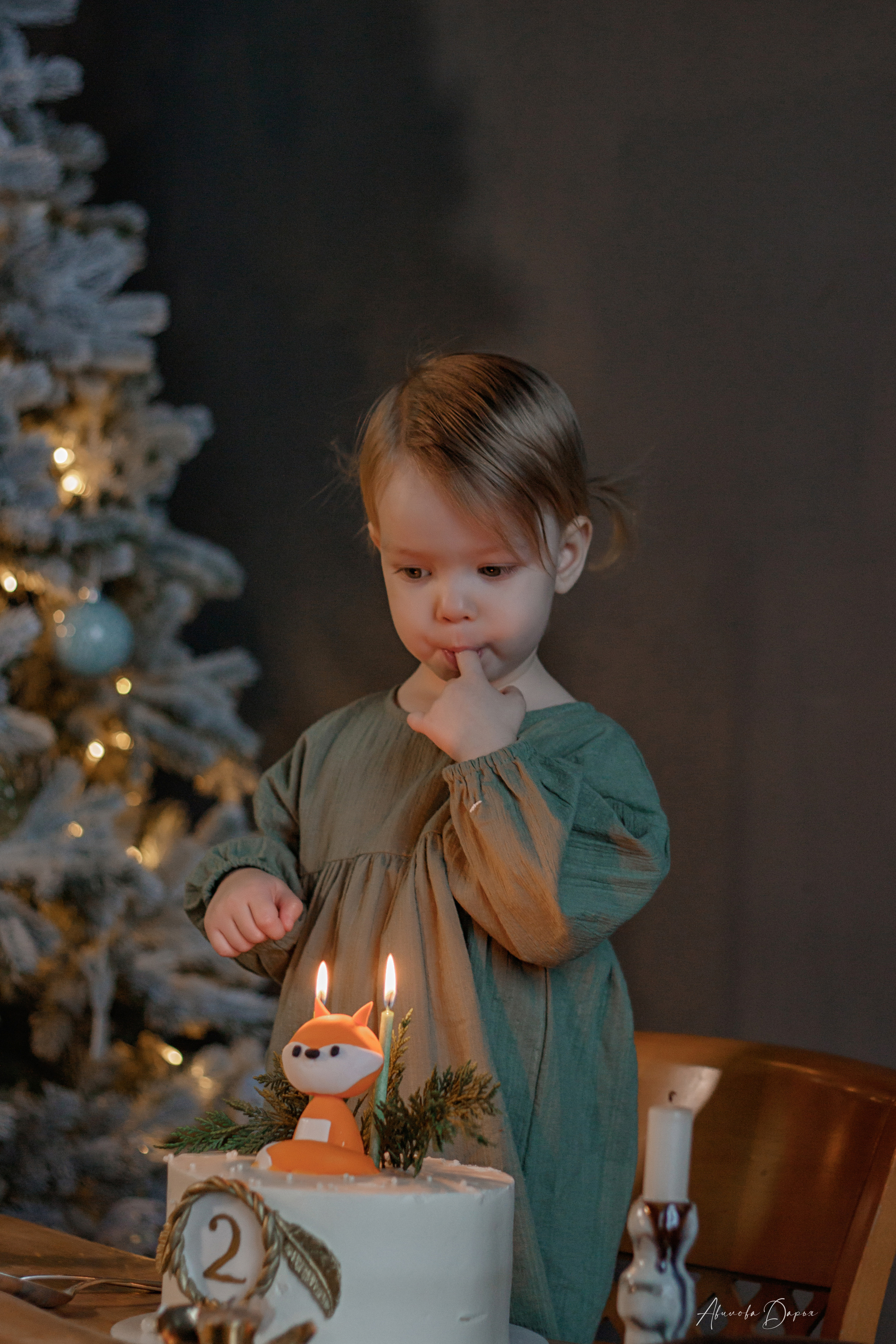 Алисе 2 года. Фотограф Авилова Дарья ● Тюмень● Съемка больших семей ●Архив поколений