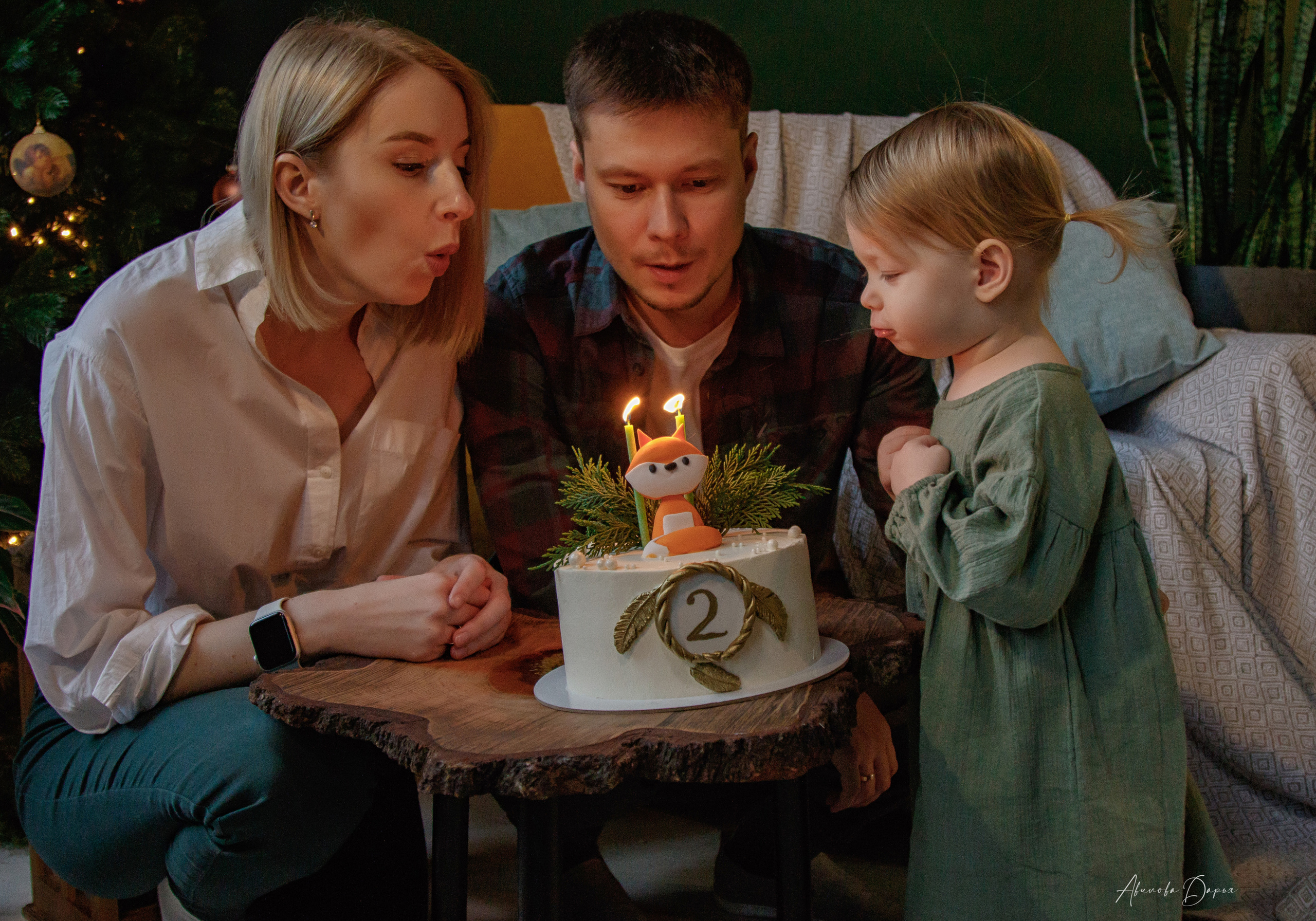 Алисе 2 года. Фотограф Авилова Дарья ● Тюмень● Съемка больших семей ●Архив поколений