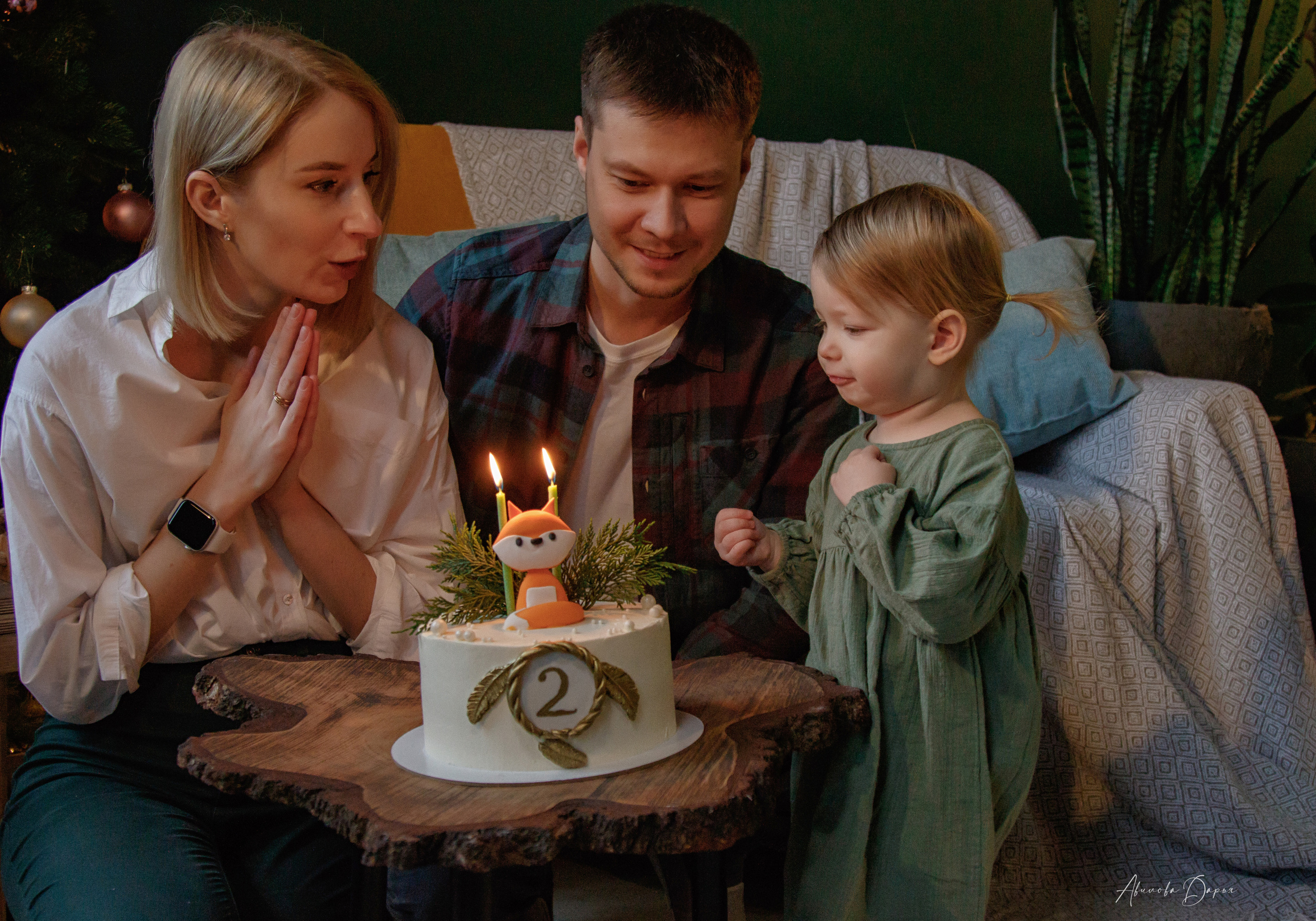 Алисе 2 года. Фотограф Авилова Дарья ● Тюмень● Съемка больших семей ●Архив поколений