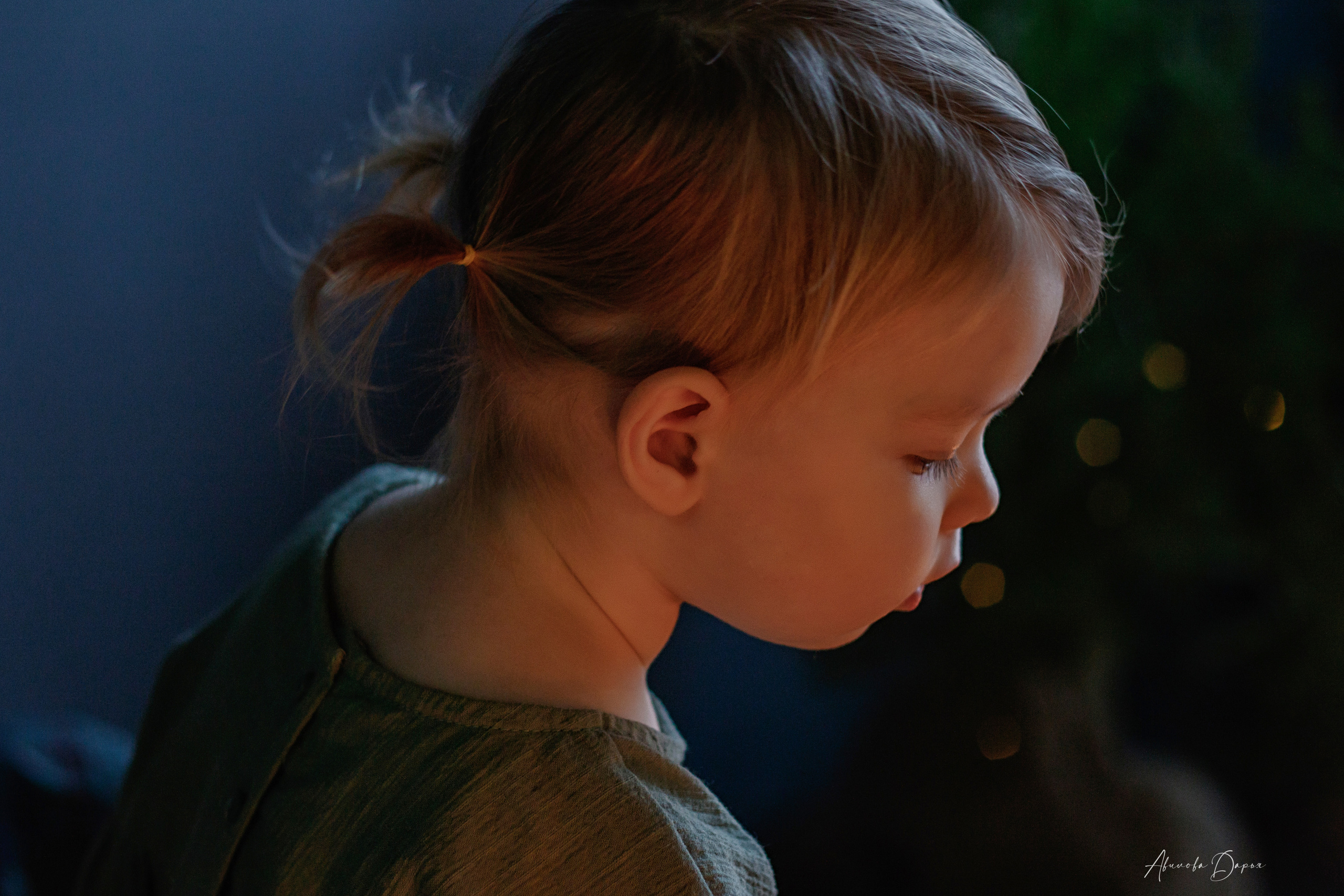 Алисе 2 года. Фотограф Авилова Дарья ● Тюмень● Съемка больших семей ●Архив поколений