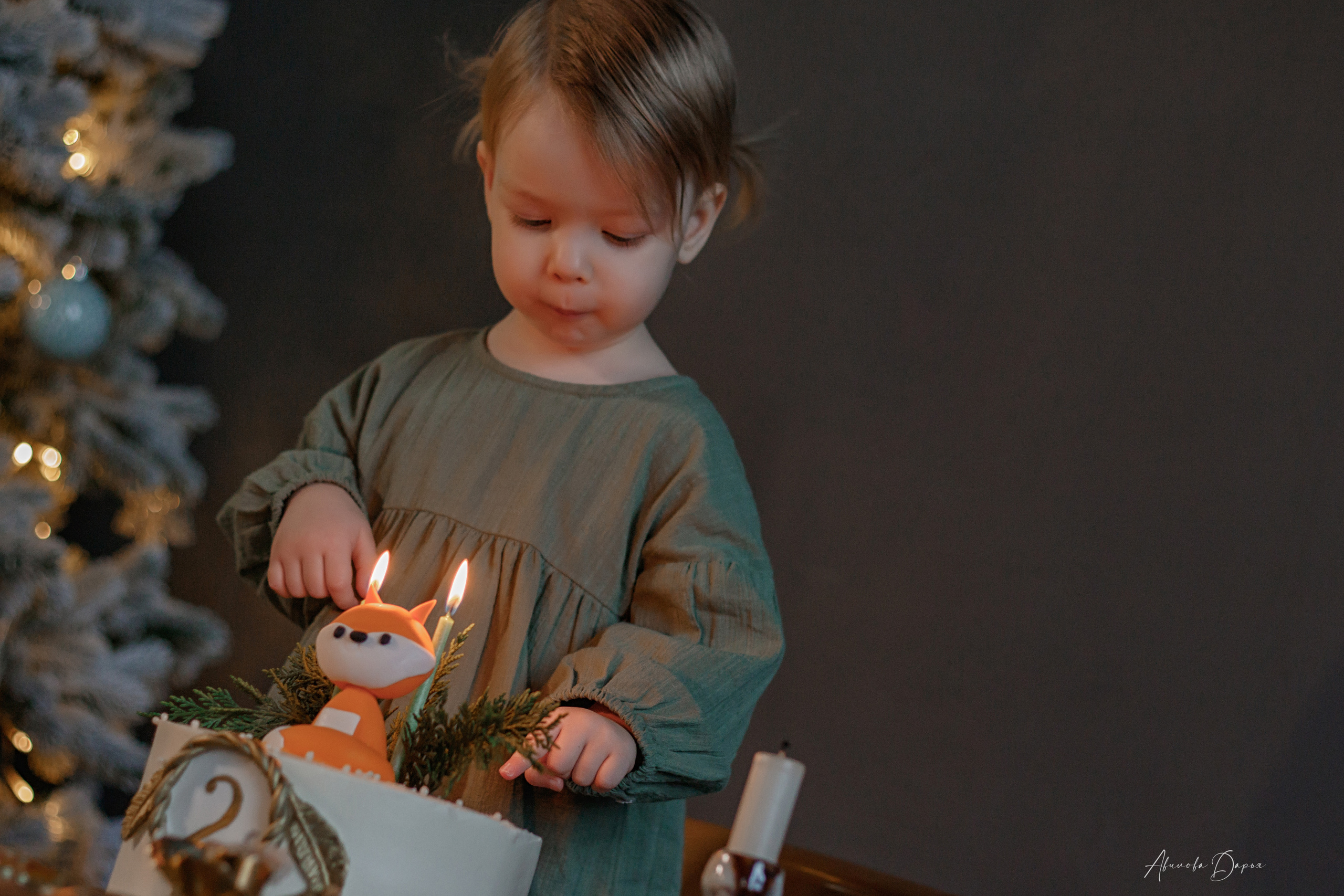 Алисе 2 года. Фотограф Авилова Дарья ● Тюмень● Съемка больших семей ●Архив поколений