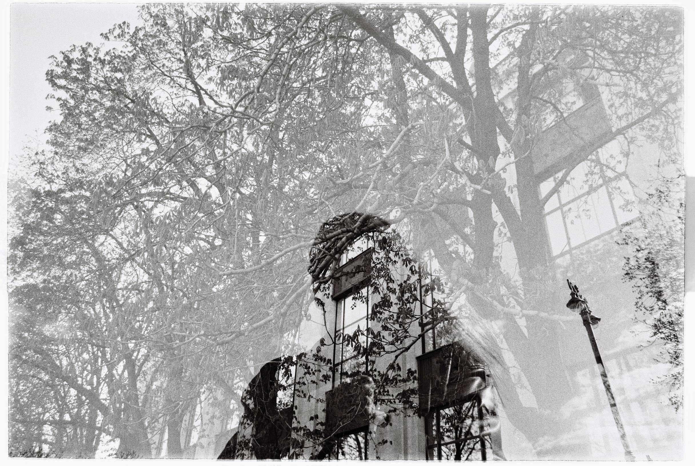 Art. TATIANA DARINA — film photographer in St. Petersburg