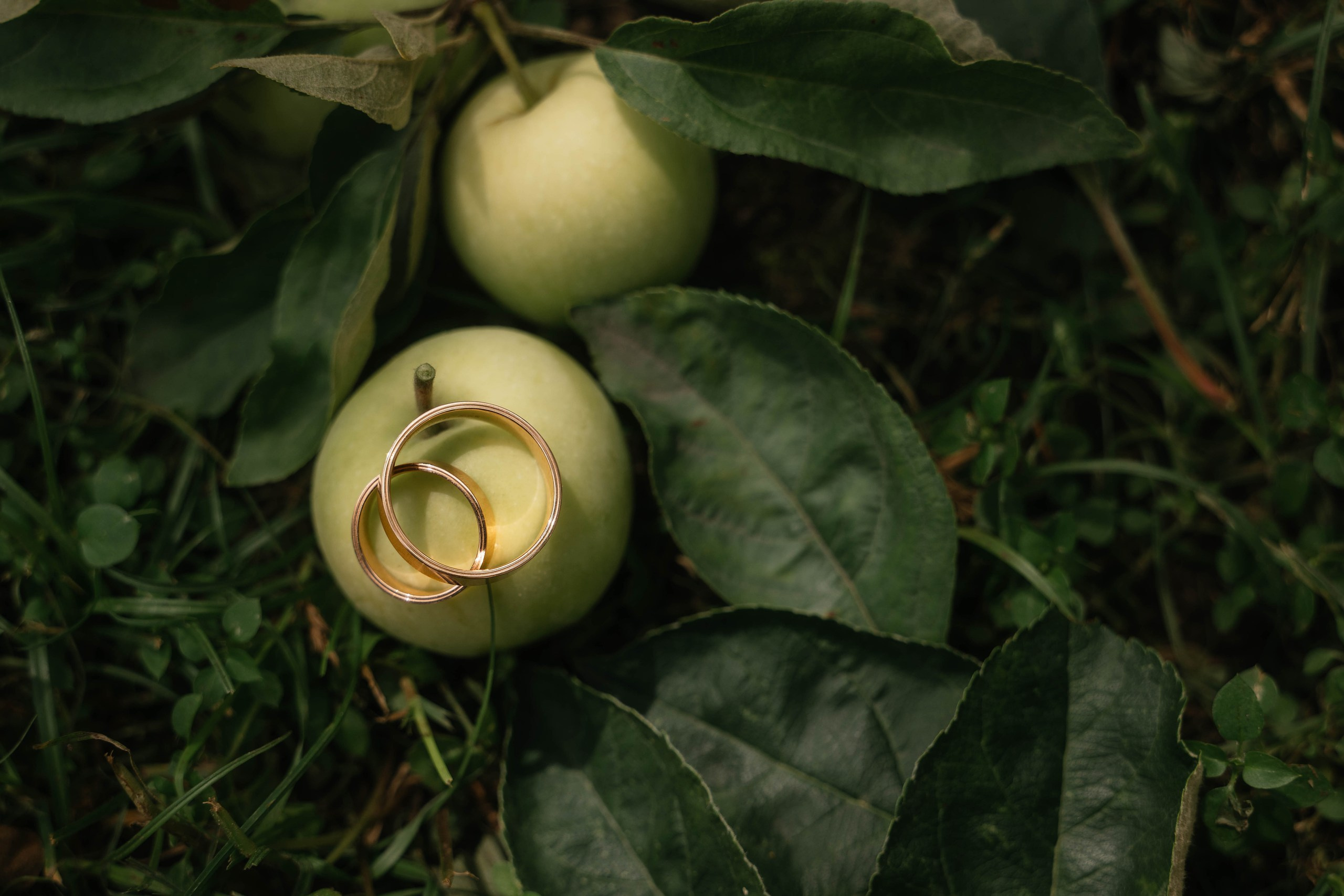 Wedding day #77. Свадебный, семейный фотограф в Рязани Лена Брант