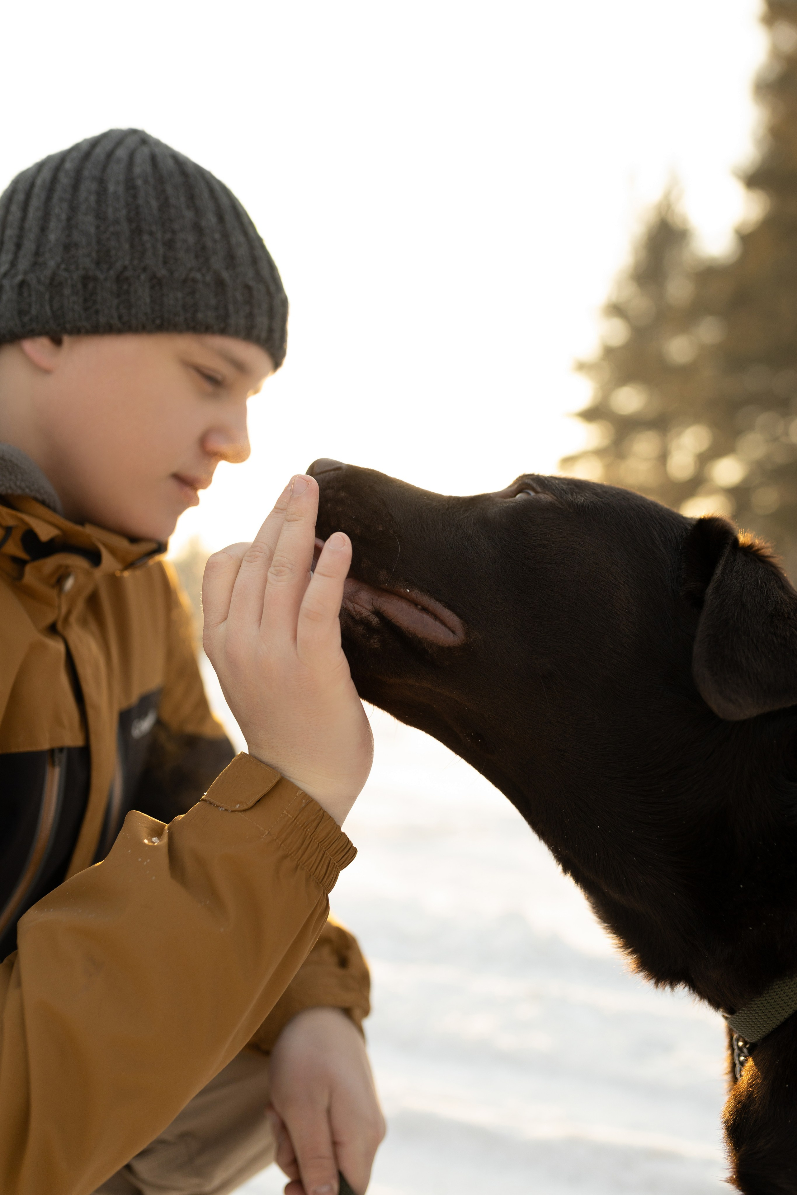 Ви ,Мась & Вегас