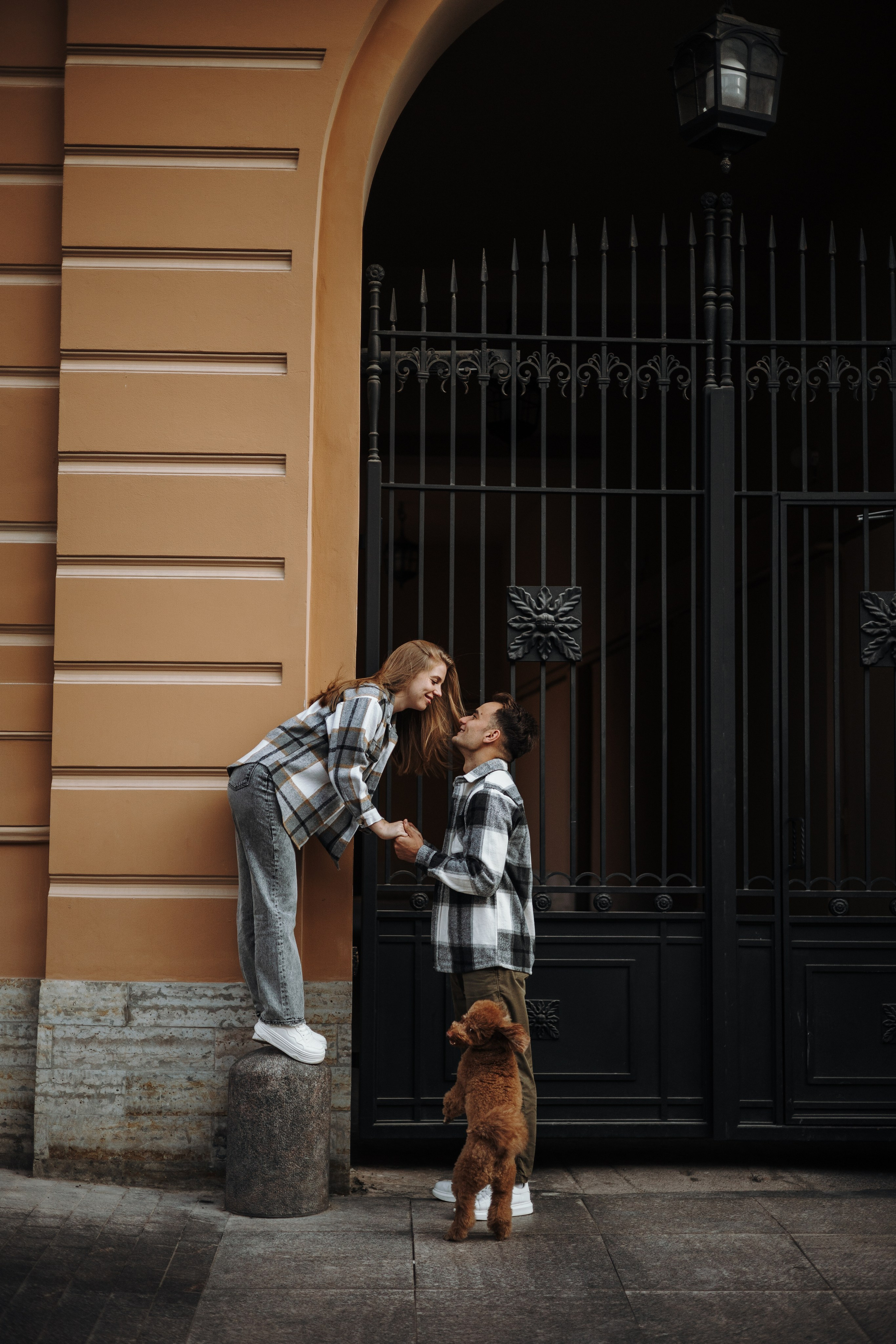 Барни и его семья. Фотограф — Анималист | Санкт-Петербург