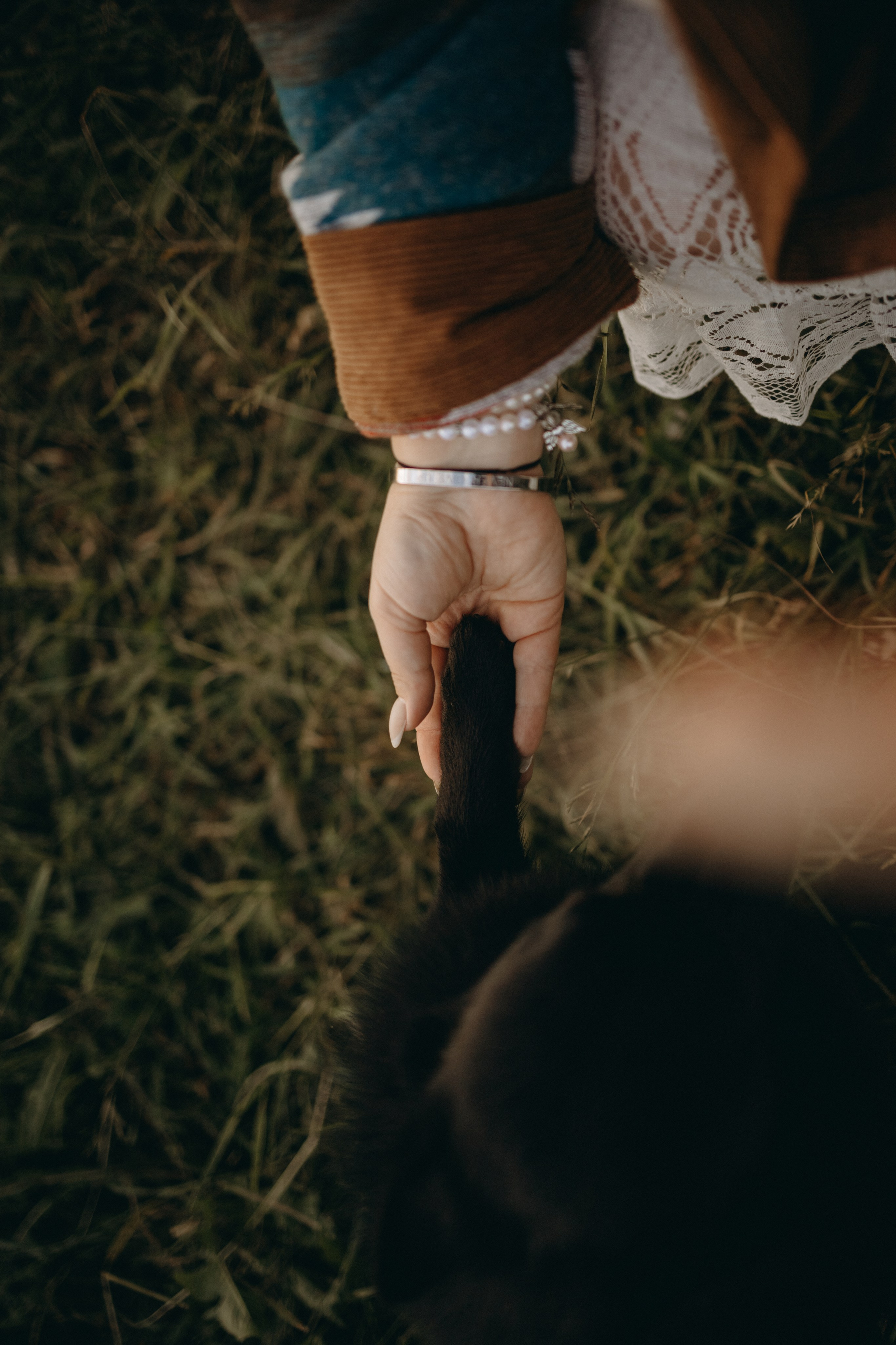 Анна и Максимус. Фотограф — Анималист | Санкт-Петербург