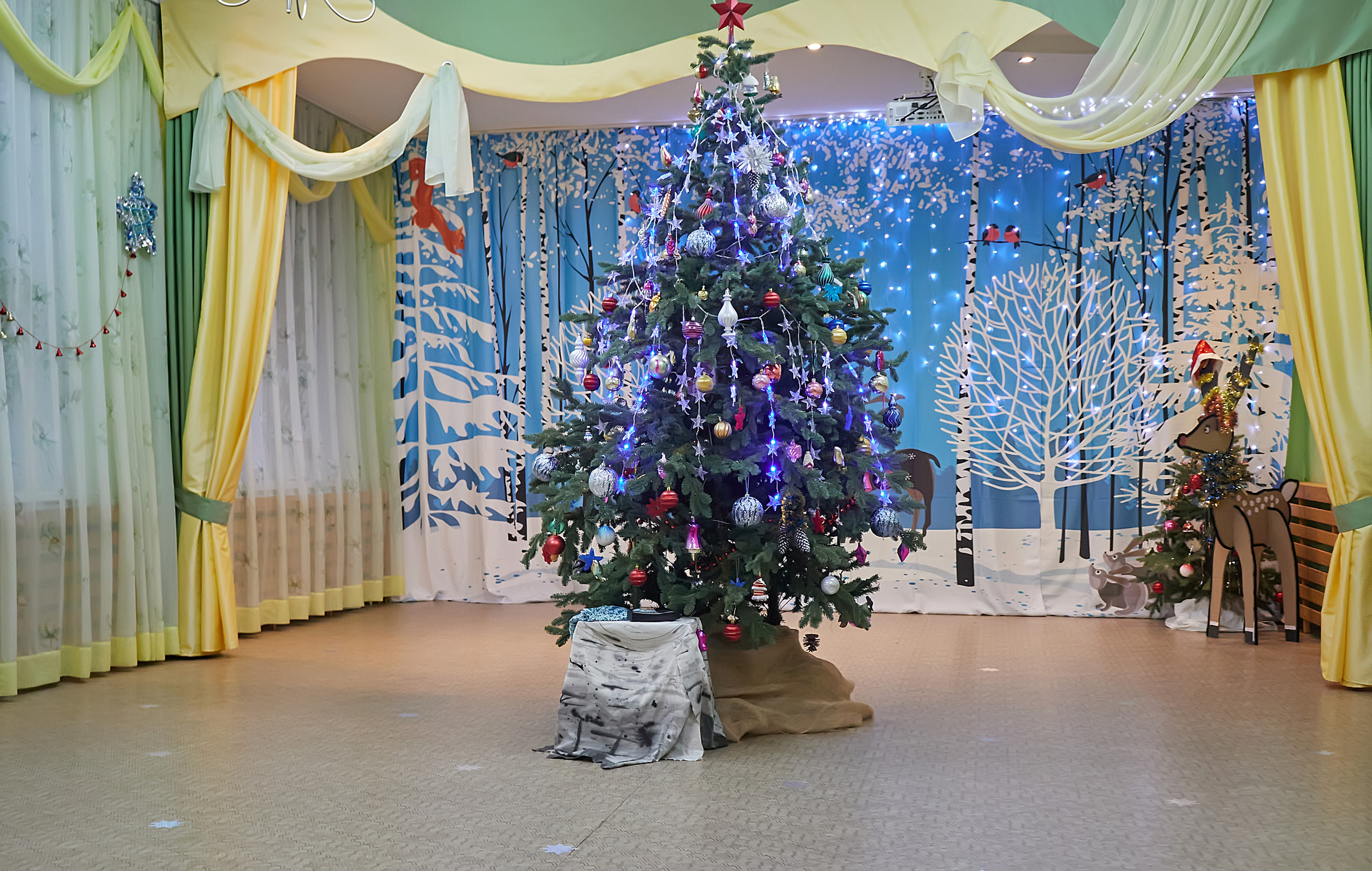 Выпускные и утренники детский сад (фото). Семейный и свадебный фотограф в Ярославле Надежда Бойкова