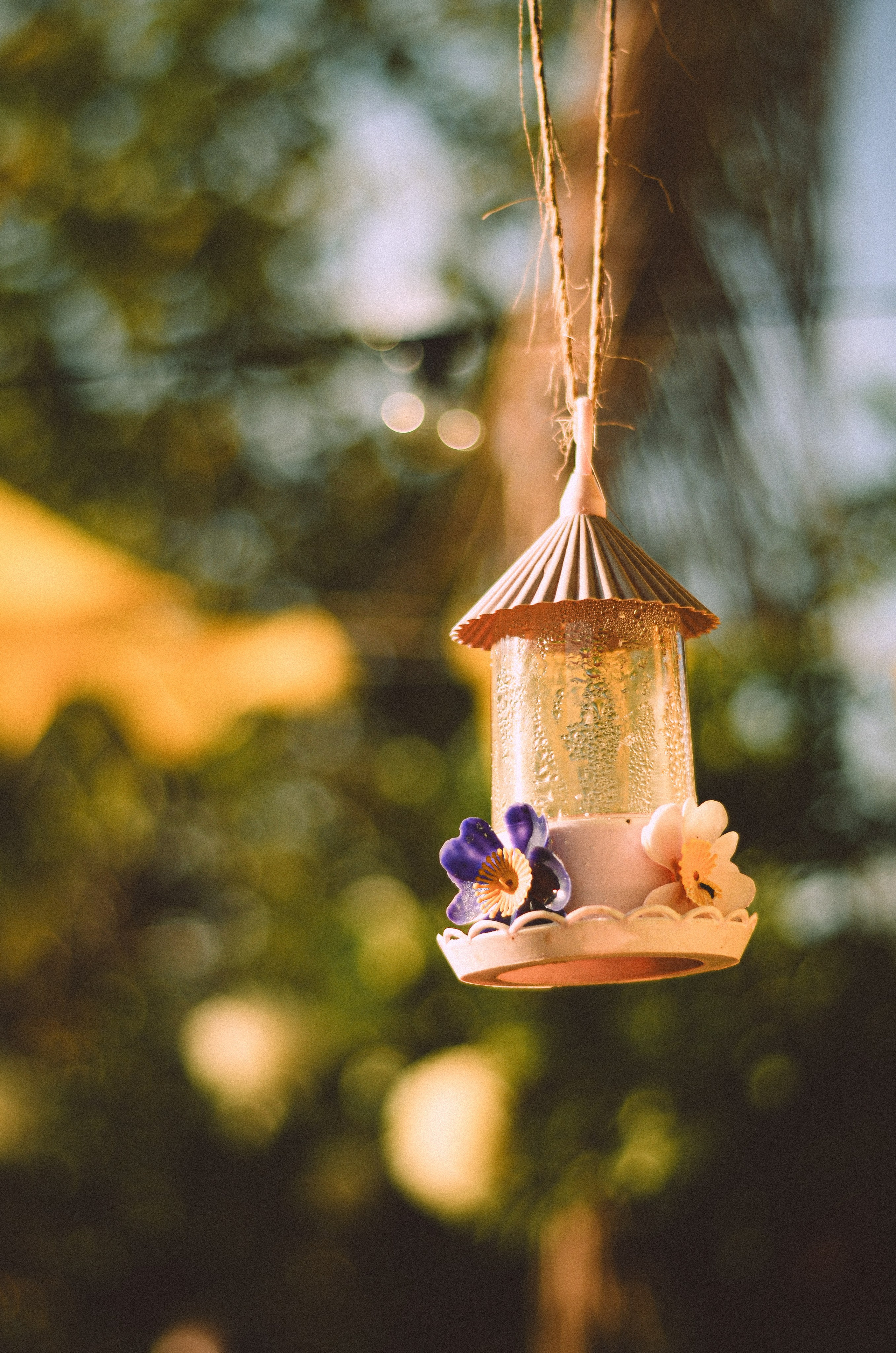 FEST.ART. Fotógrafo | Sessão de fotos