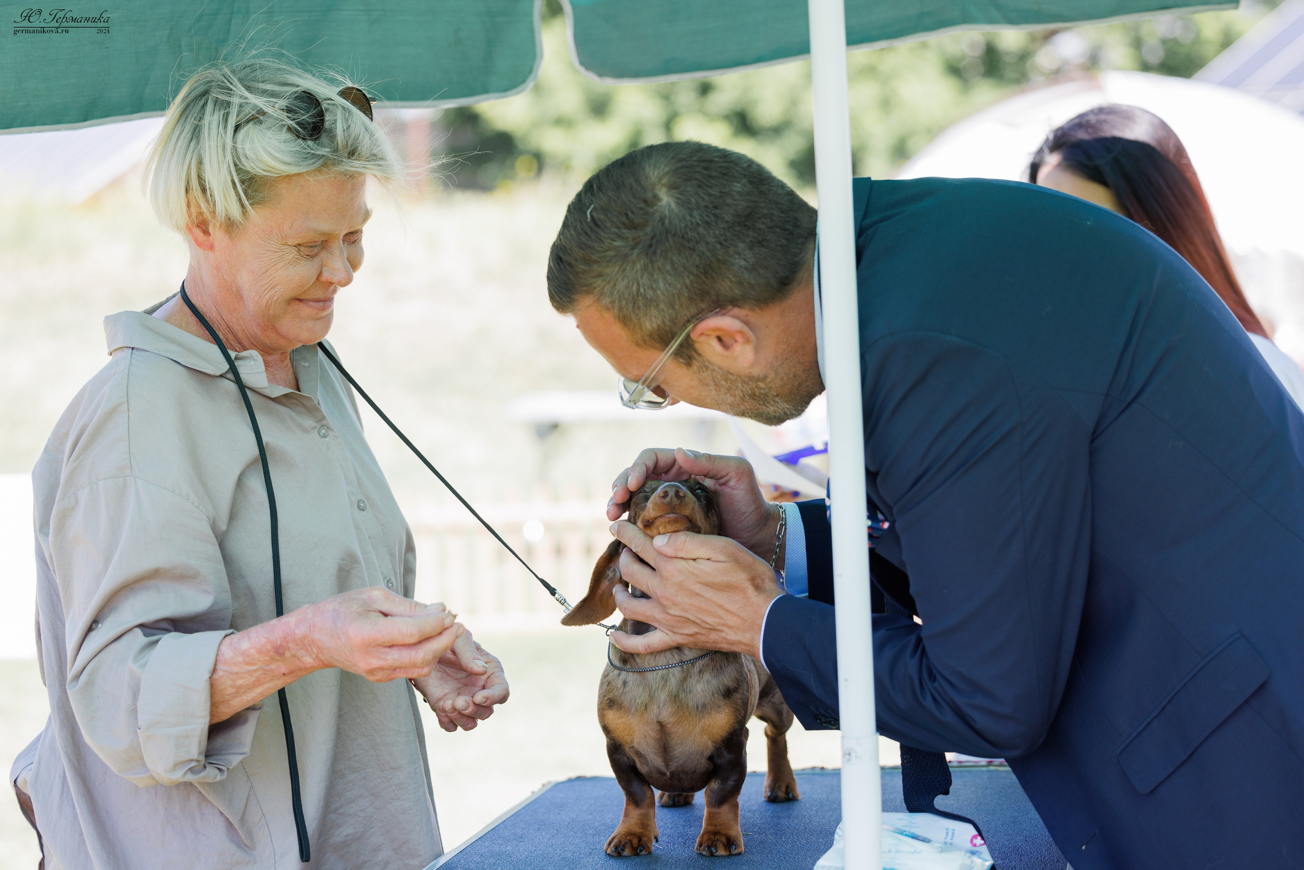 Ереван 3-5.06.2024. Фотограф-анималист Юлия Германика