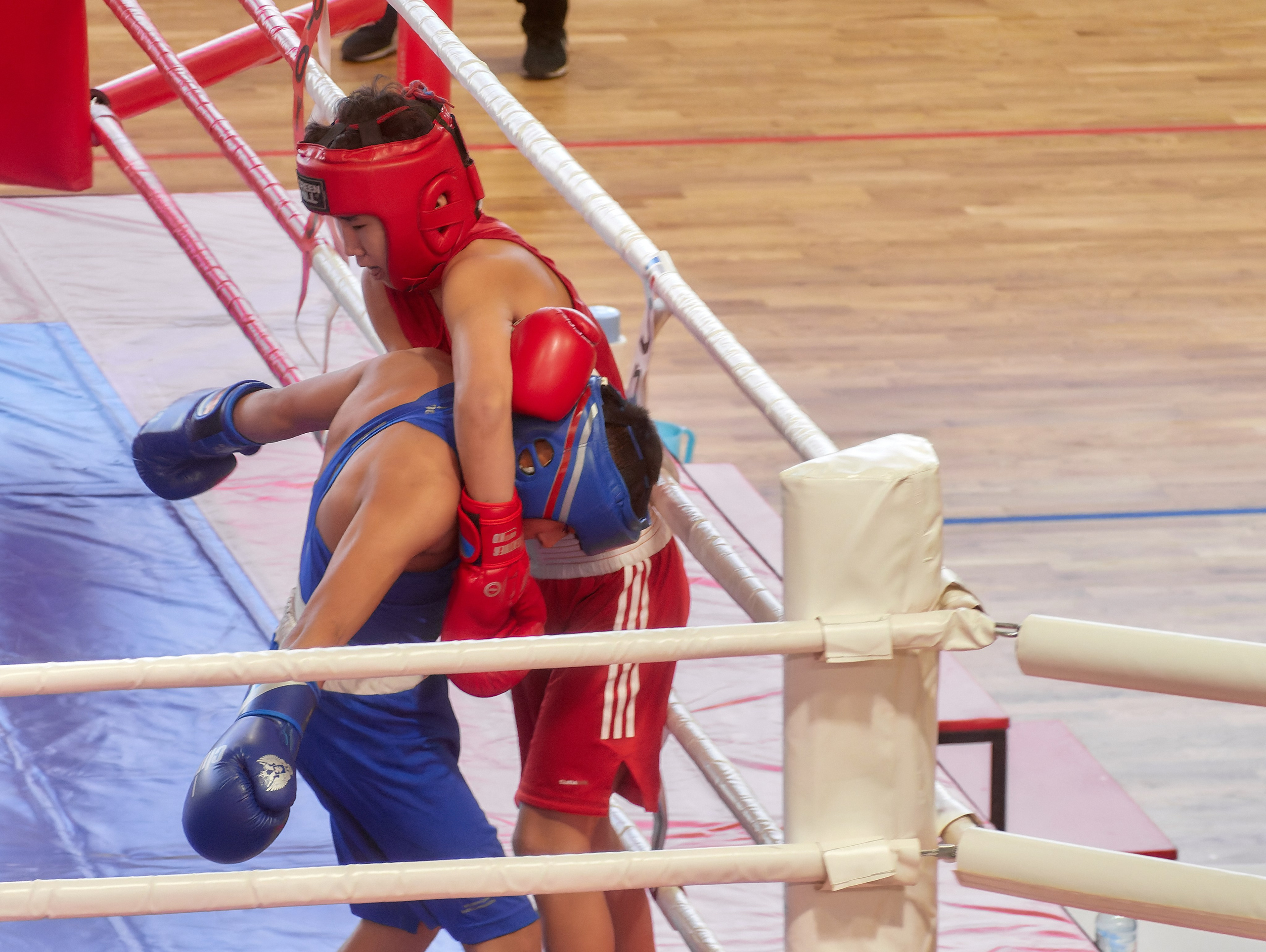 Открытие турнира по боксу памяти героя Советского Союза Михаила Крюкова. Семейный и детский фотограф в Междуреченск Олег Бамбульский