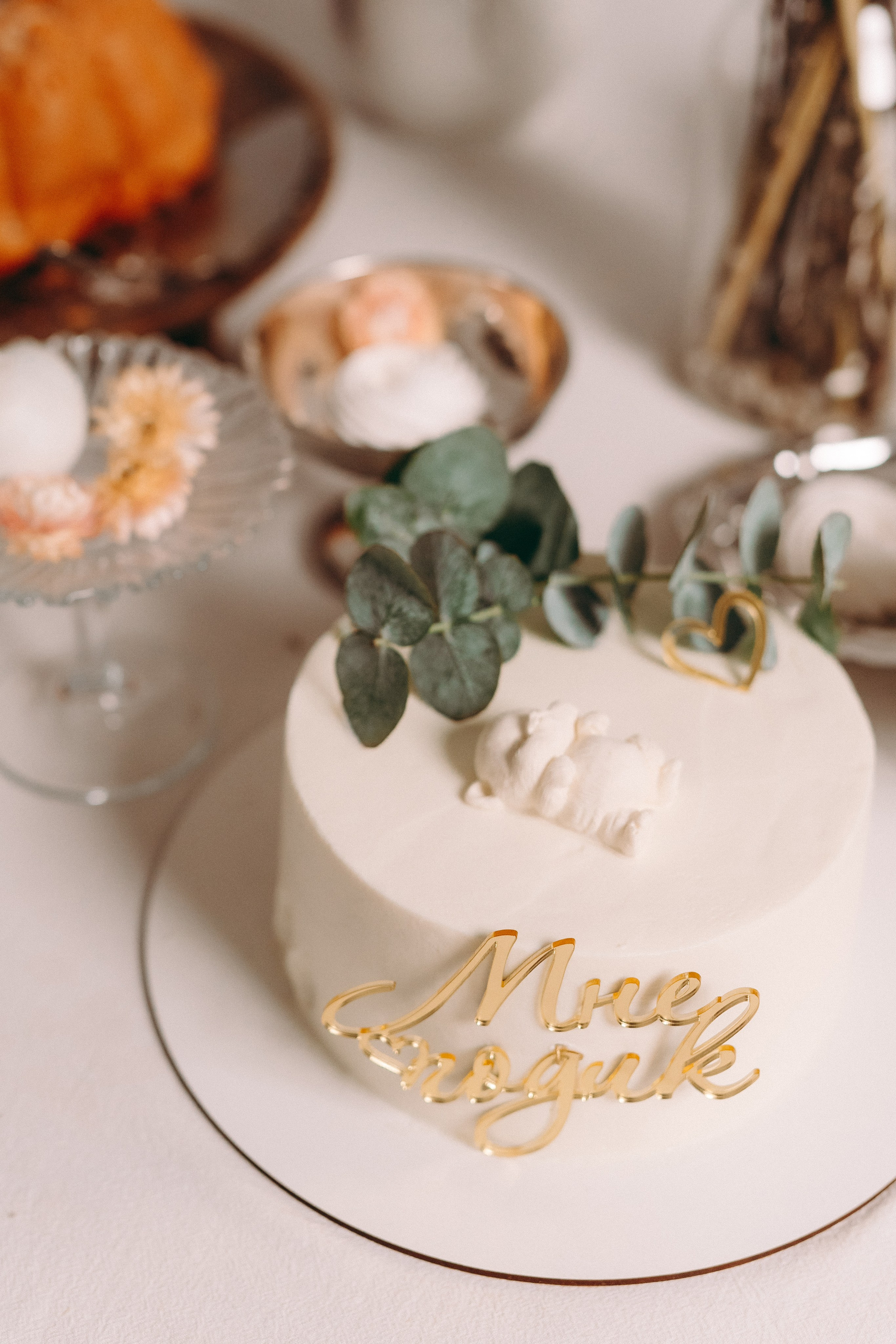 Вместе веселее. Алёна Хомич. Свадебный и семейный фотограф Коломна, Москва