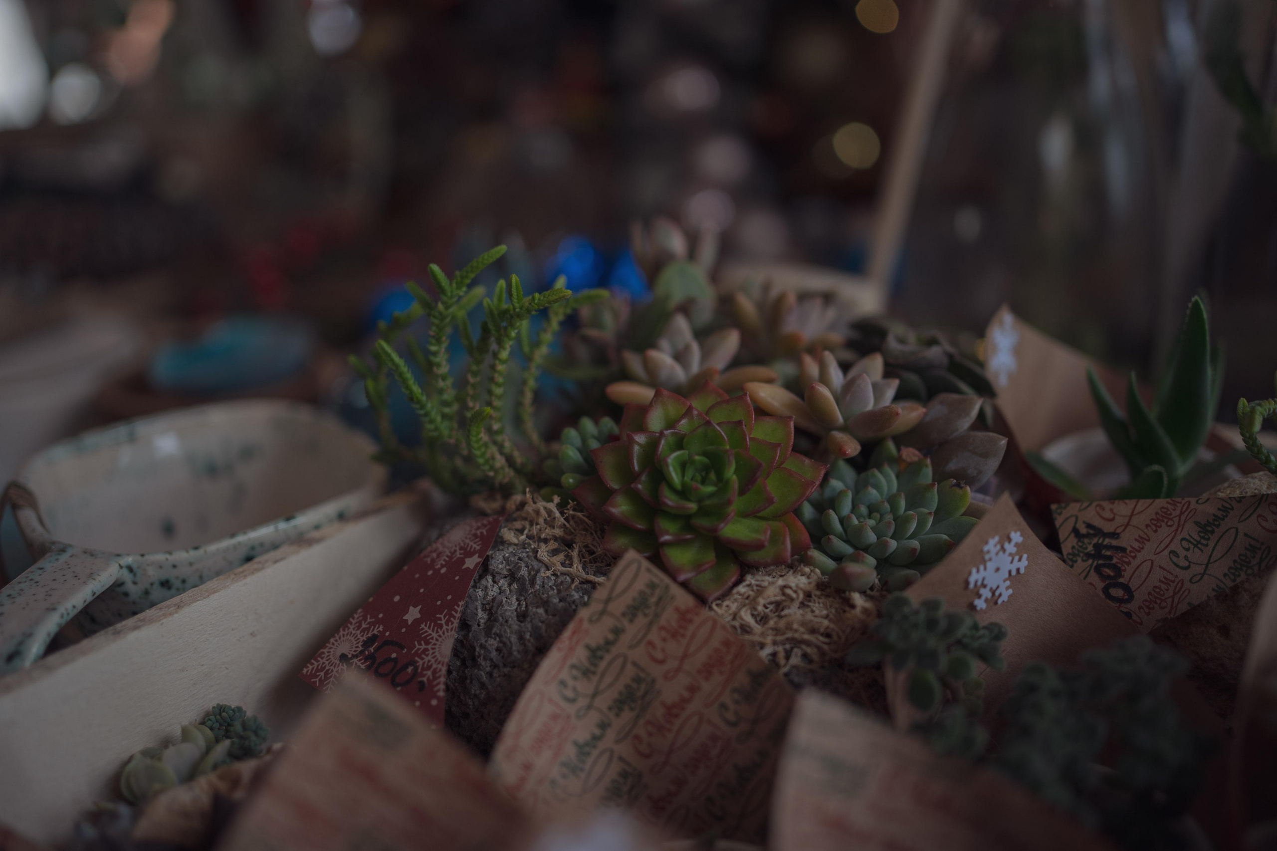 Garage sale. 5floora. Главная