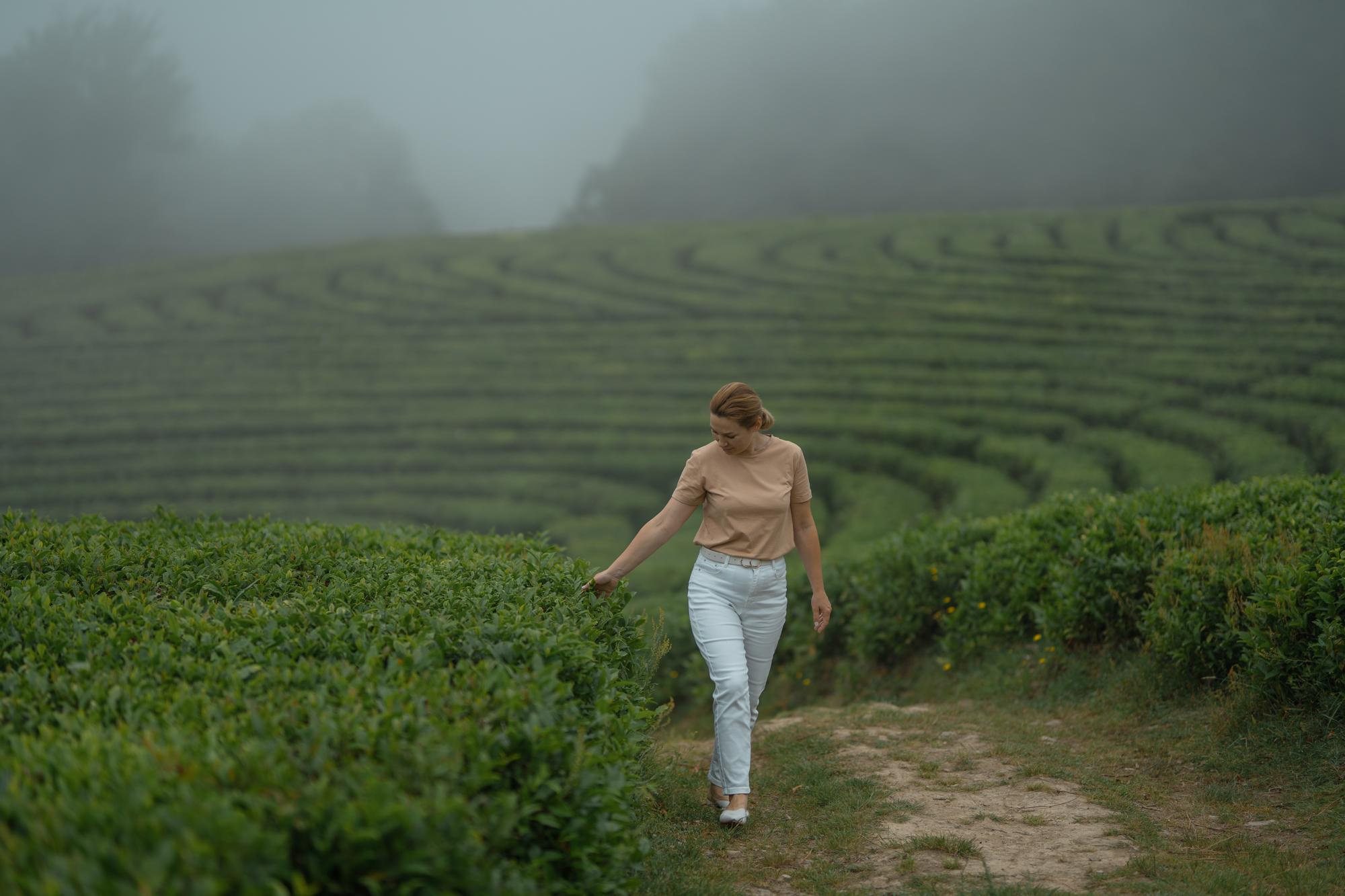 В тумане. Главная