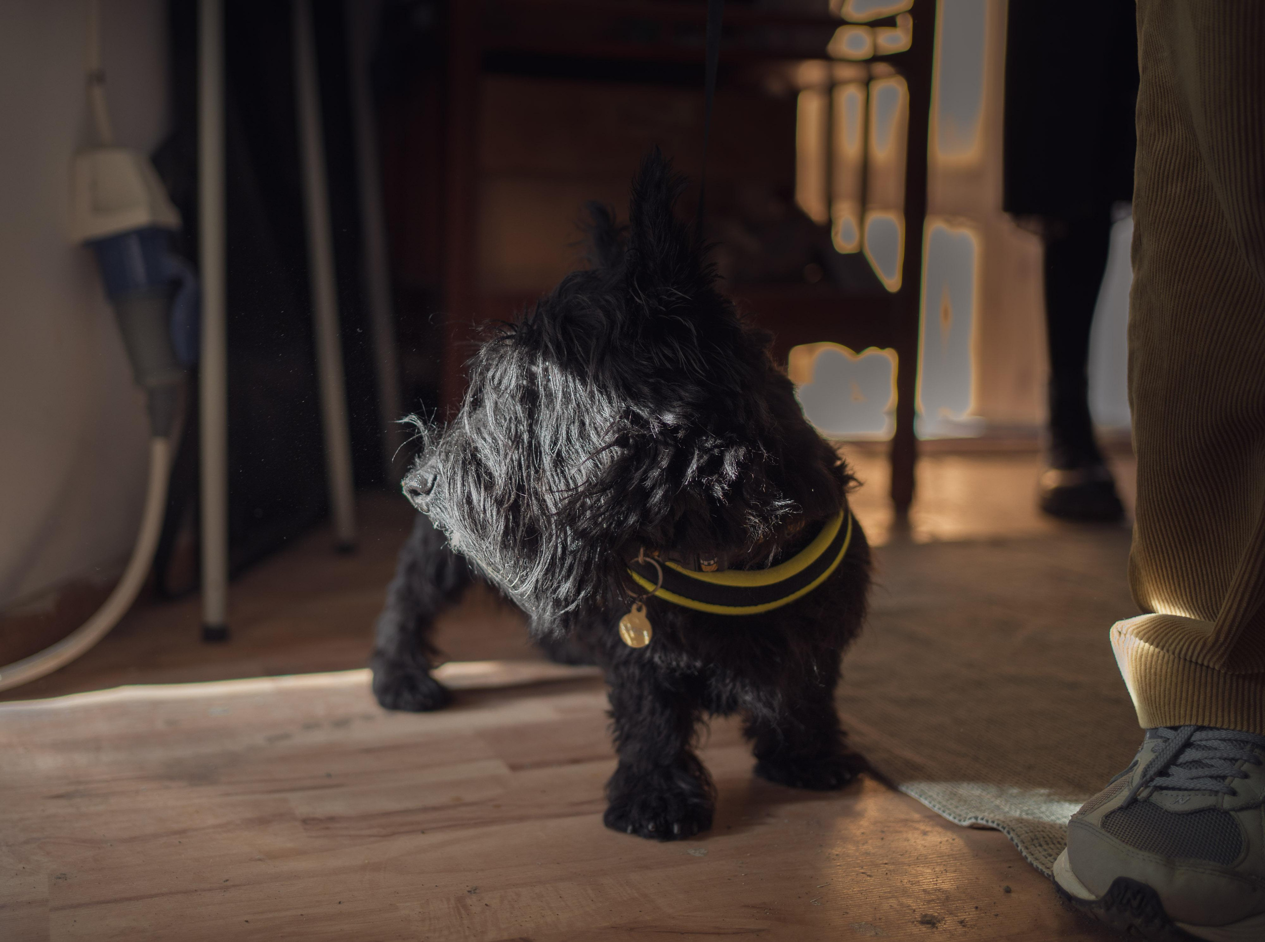 Garage sale. 5floora. Главная