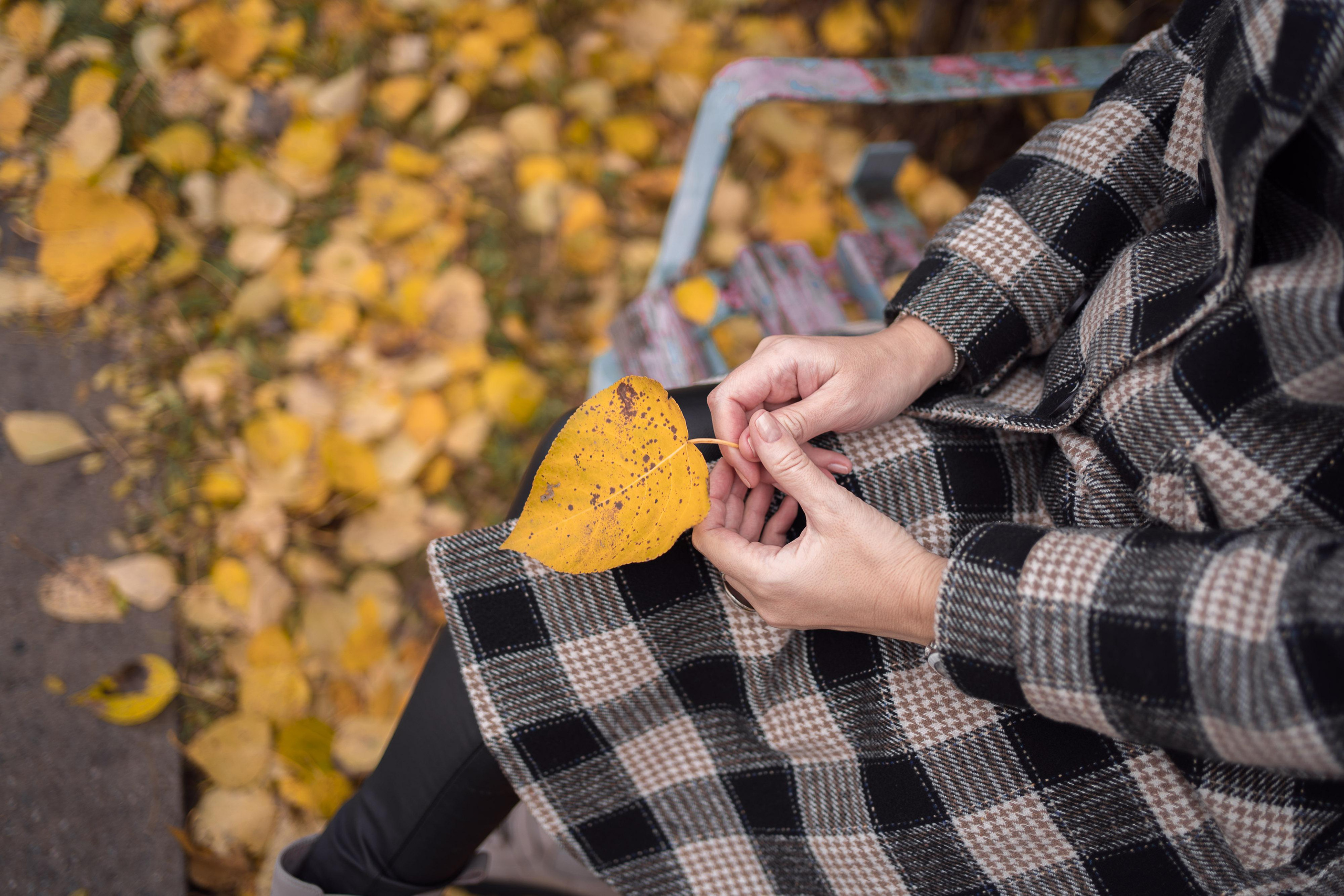 Вика. Главная