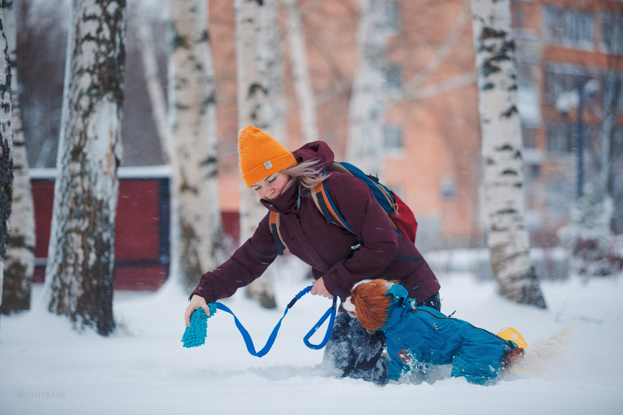 Внезапно апрельская зима. Фотограф-анималист Наталия Чистюхина в г. Сосновый Бор и ЛО