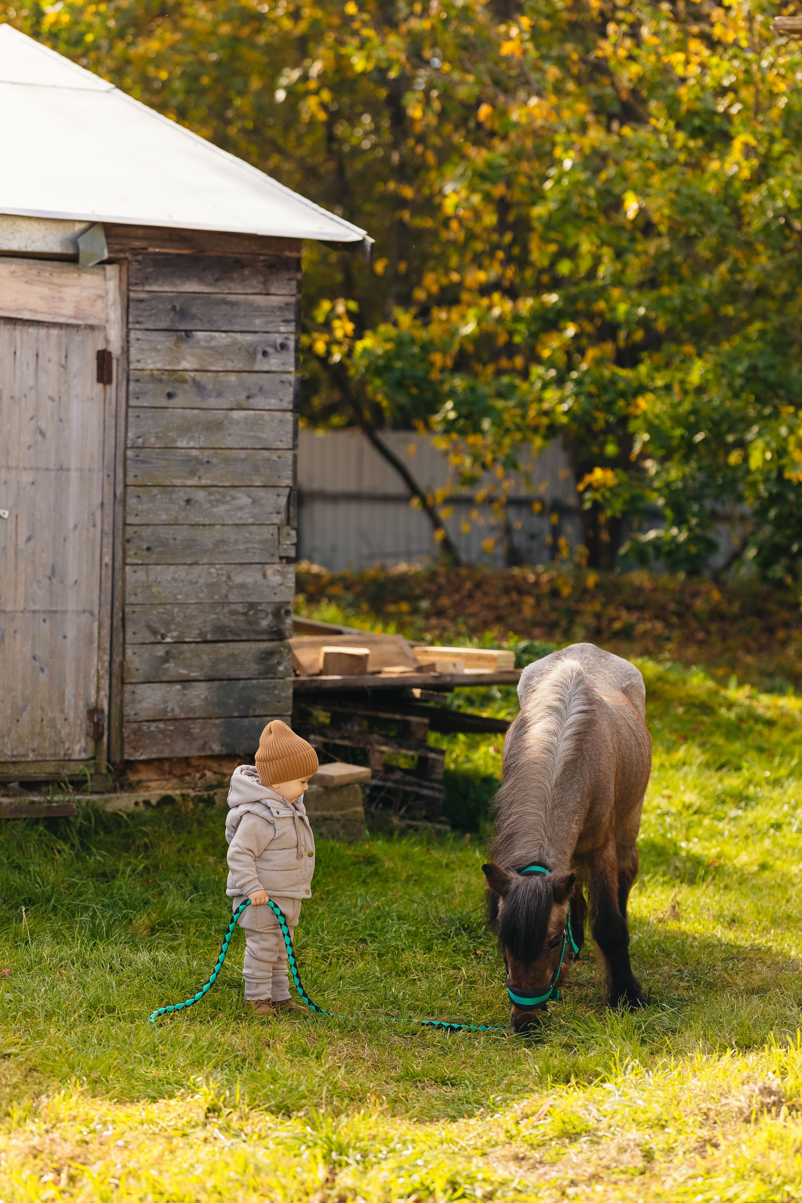 2024.10.02 Илья и лошадка. Ирина Бешляга. Фотограф в Москве и по всей России