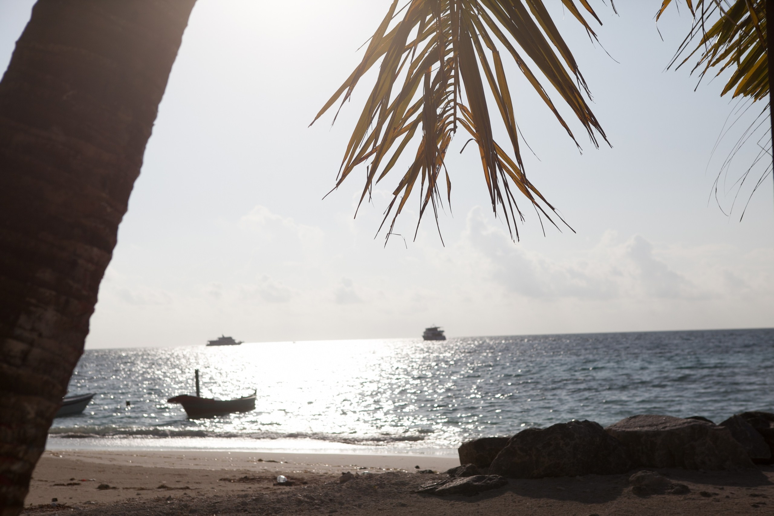 Пейзажи. Фотограф Мельник Ирина. Москва