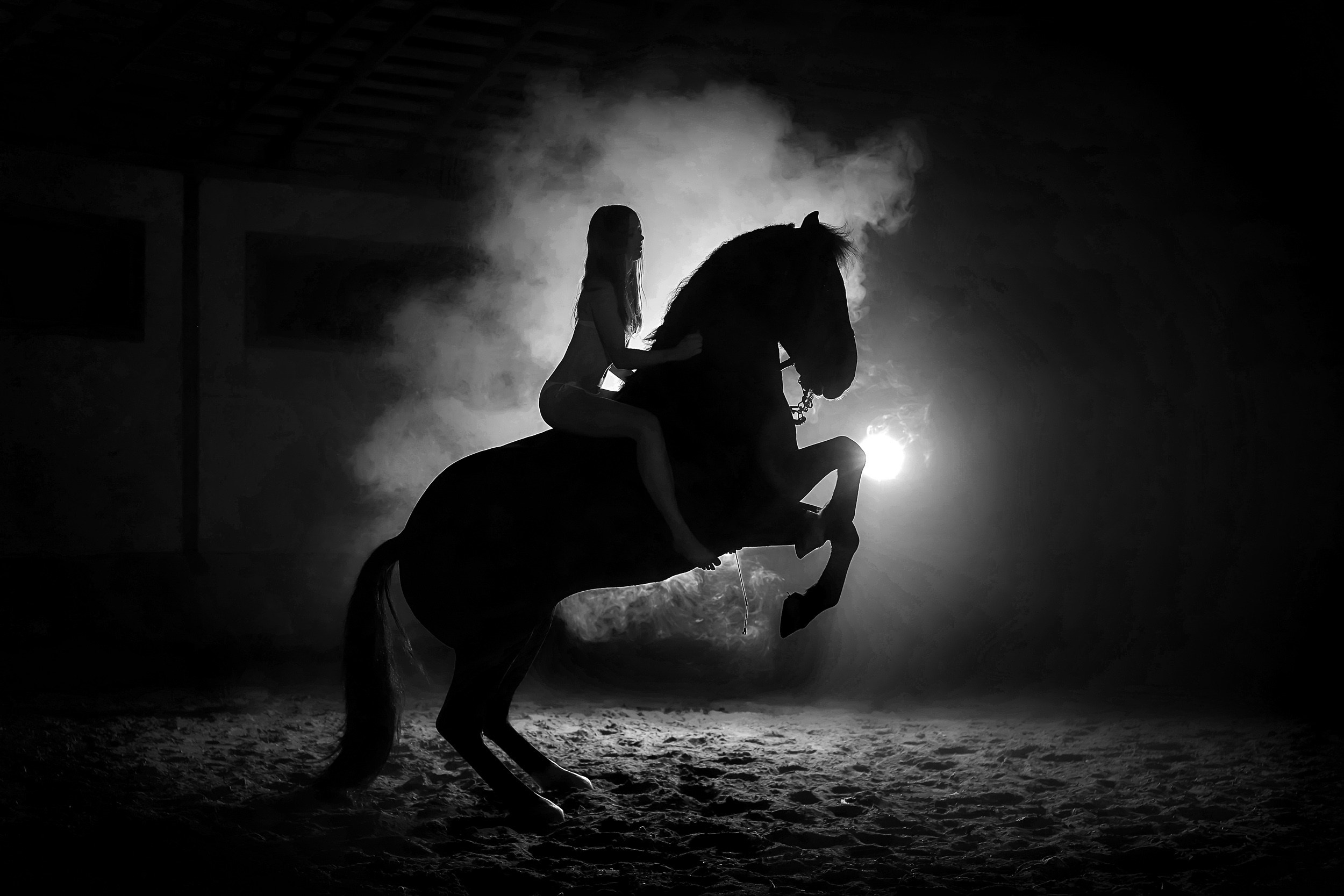 Фотопроекты и съемки на природе, с лошадьми, самолетами и авто. Выездная фотосессия. Фотограф, фотопроекты Михаила Семенова в Ярославле. Фотошкола