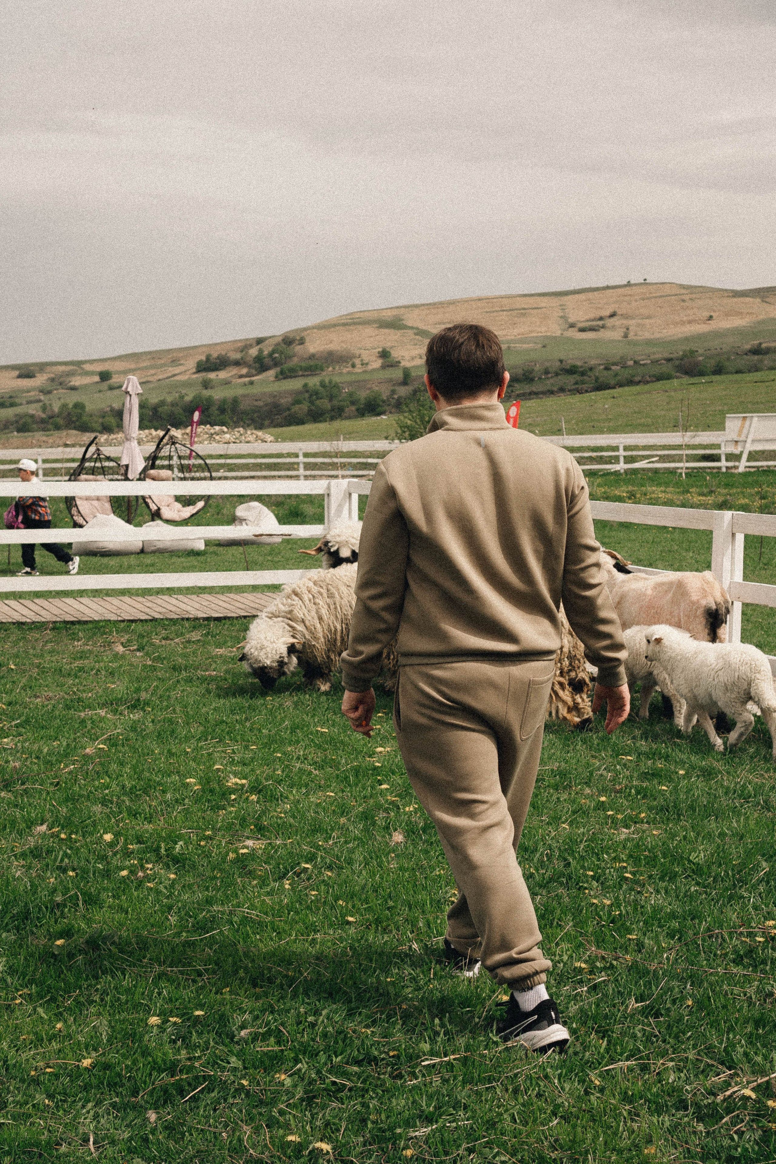 Ферма Альпак. Профессиональный фотограф, Санкт-Петербург — Виктория Богомолова