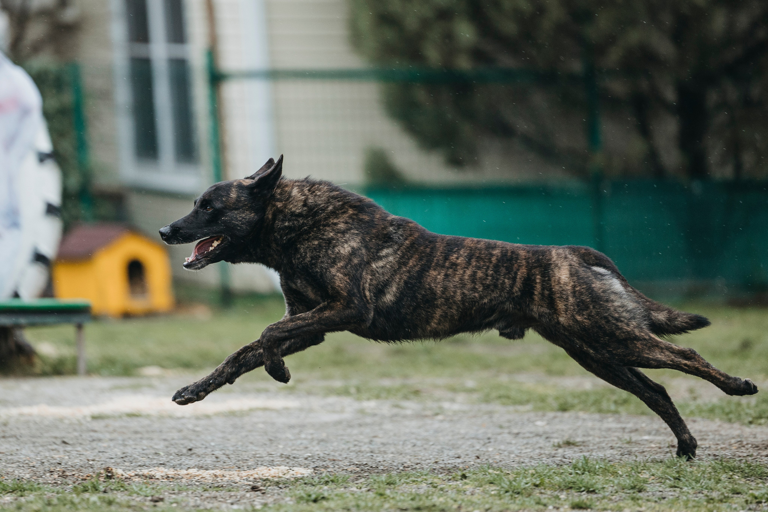 Геленджик Мондьоринг. Фотограф-анималист Анна Маринич
