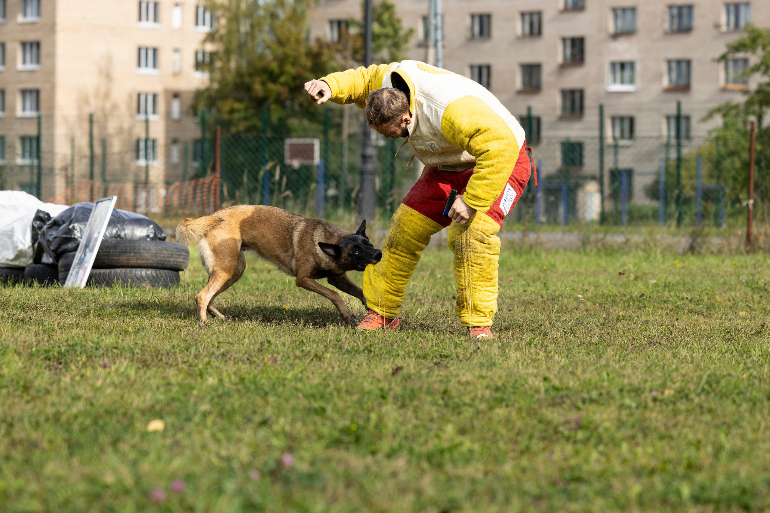 Испытания по Мондьорингу г. Пушкин. Фотограф-анималист Анна Маринич